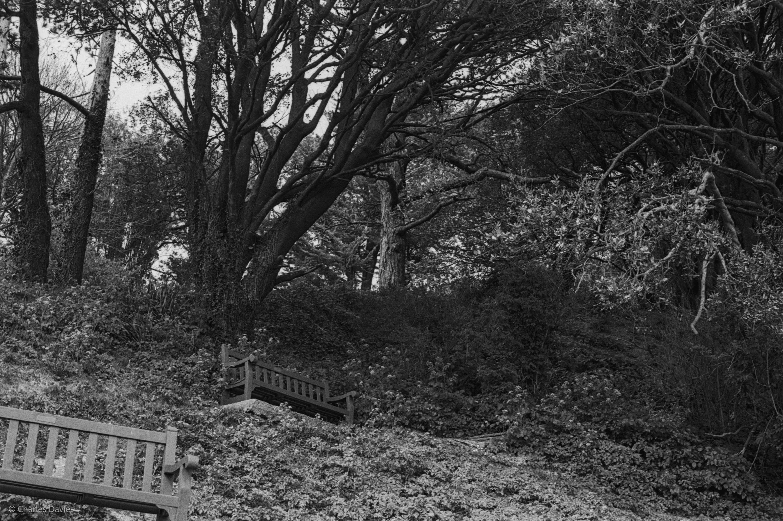 Roll 27 - 2025 - Europe - United Kingdom - Beer - Ilford HP5 Plus 400 - Contax RTS - 35mm - Film - B&W 