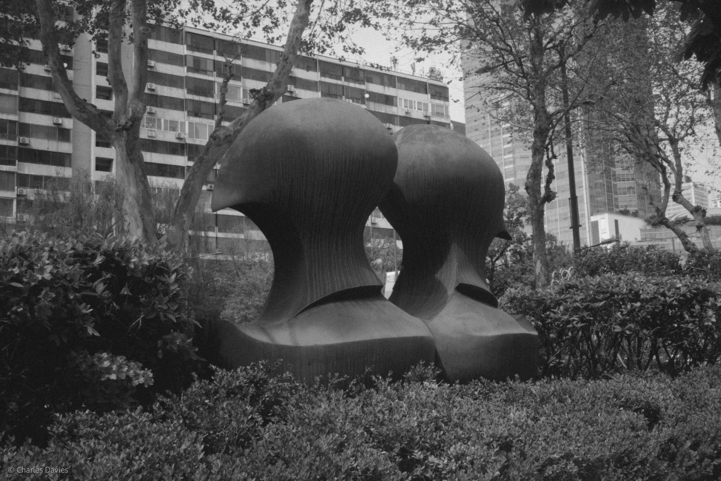 Roll 9 - 2023 - South East Asia - South Korea - Seoul - Kentmere Pan 400 - Olympus 35DC - 35mm - Film - B&W 
