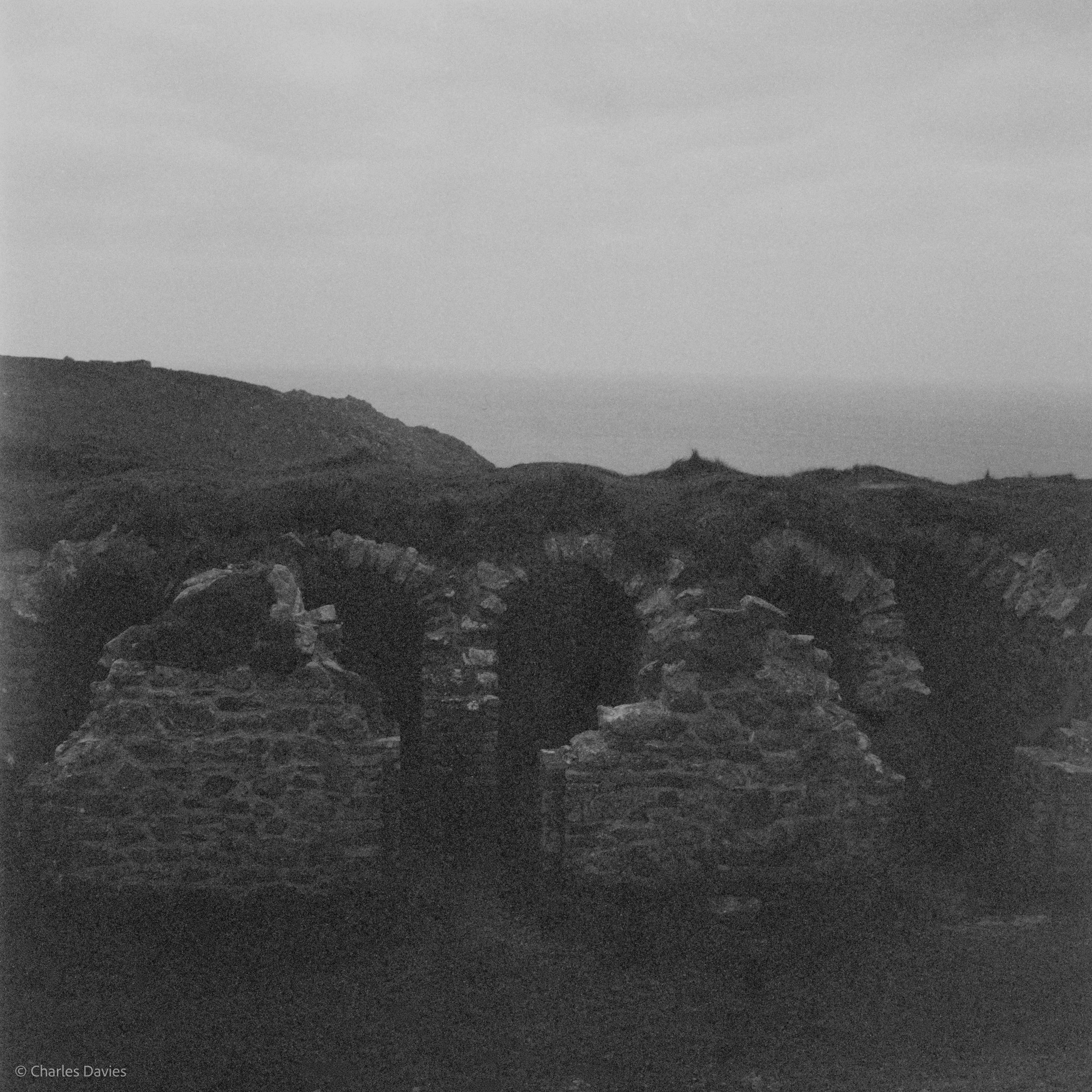 Image-8.jpg
