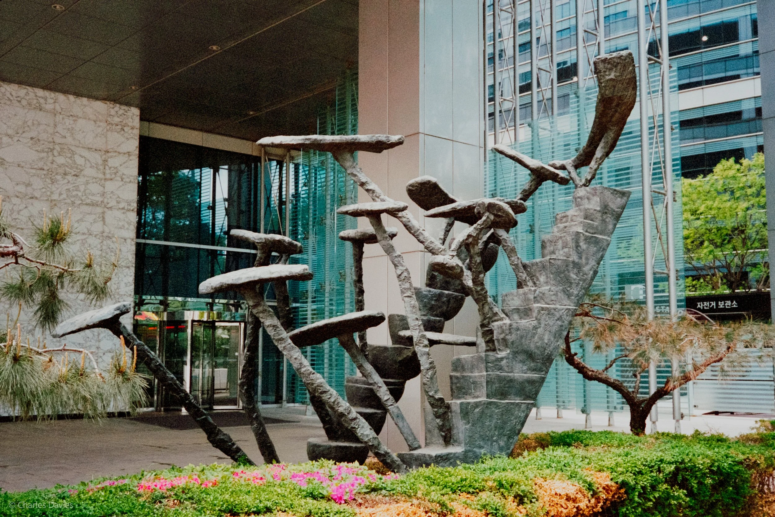 Roll 8 - 2023 - South East Asia - South Korea - Seoul - Kodak Portra 400 - Olympus 35DC - 35mm - Film - Colour 