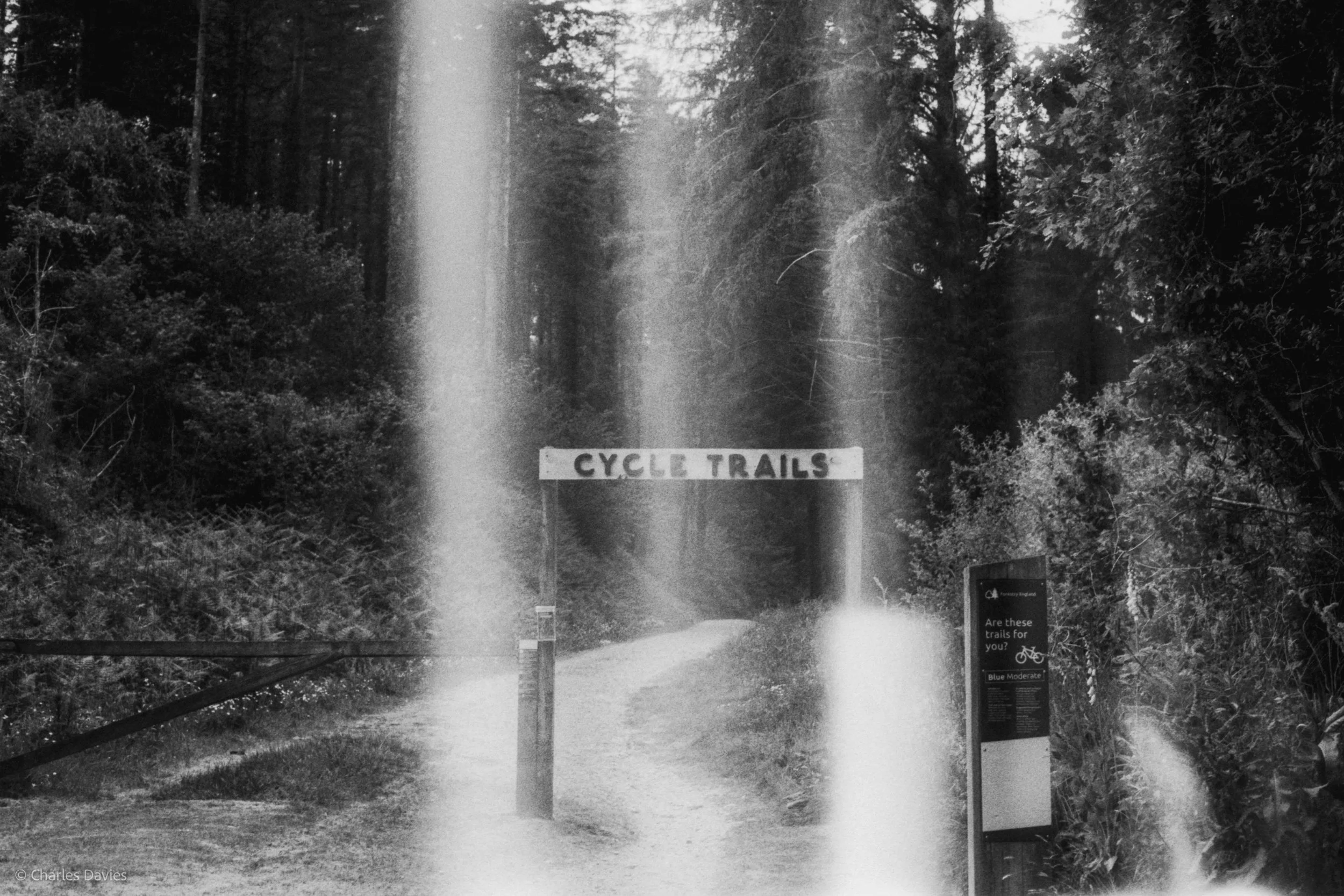 Roll 31 - 2025 - Europe - United Kingdom - Cardinham - Fomapan 400 - Contax RTS - 35mm - Film - B&W
