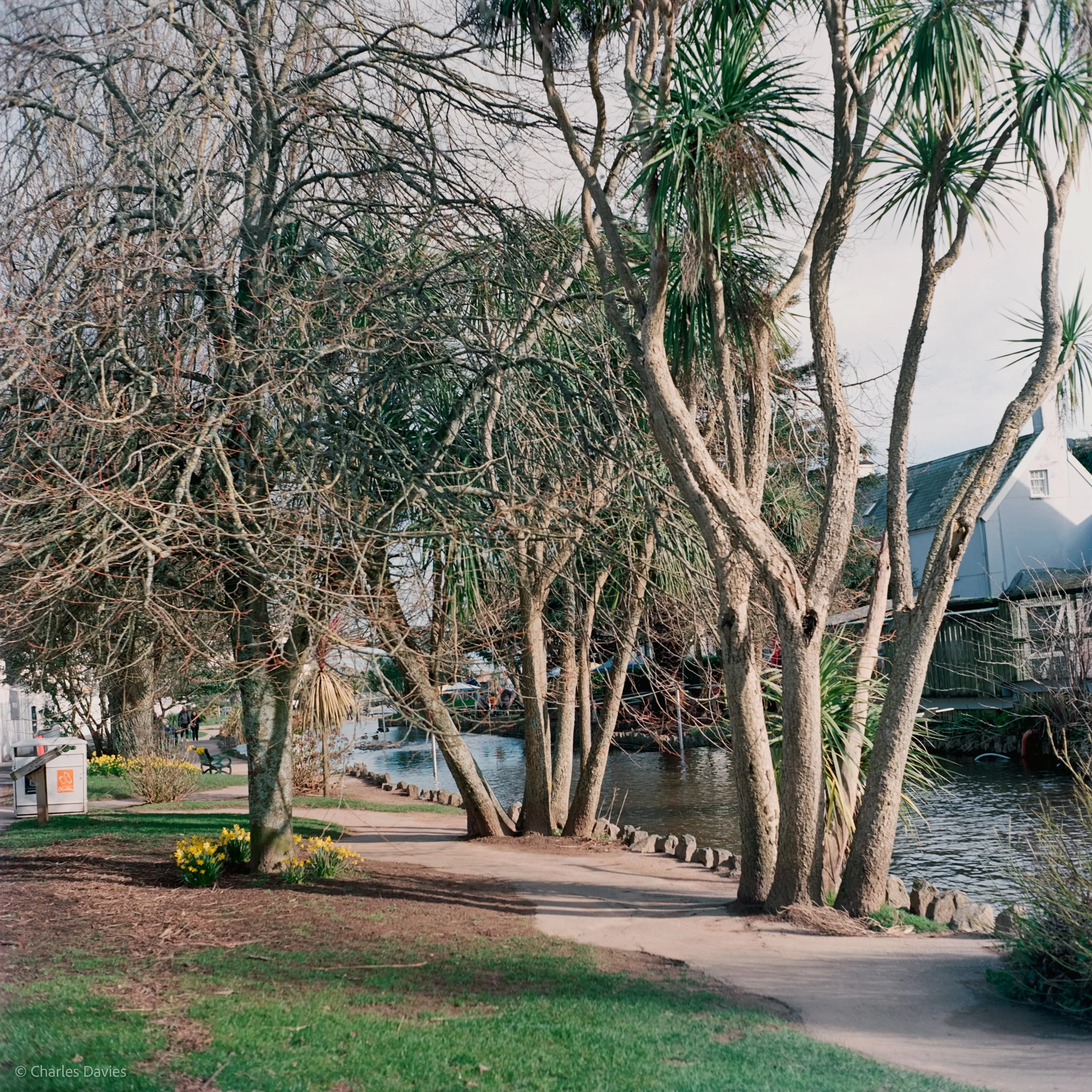 Shot 12 - F/5.6 + 1/30th - Dawlish 