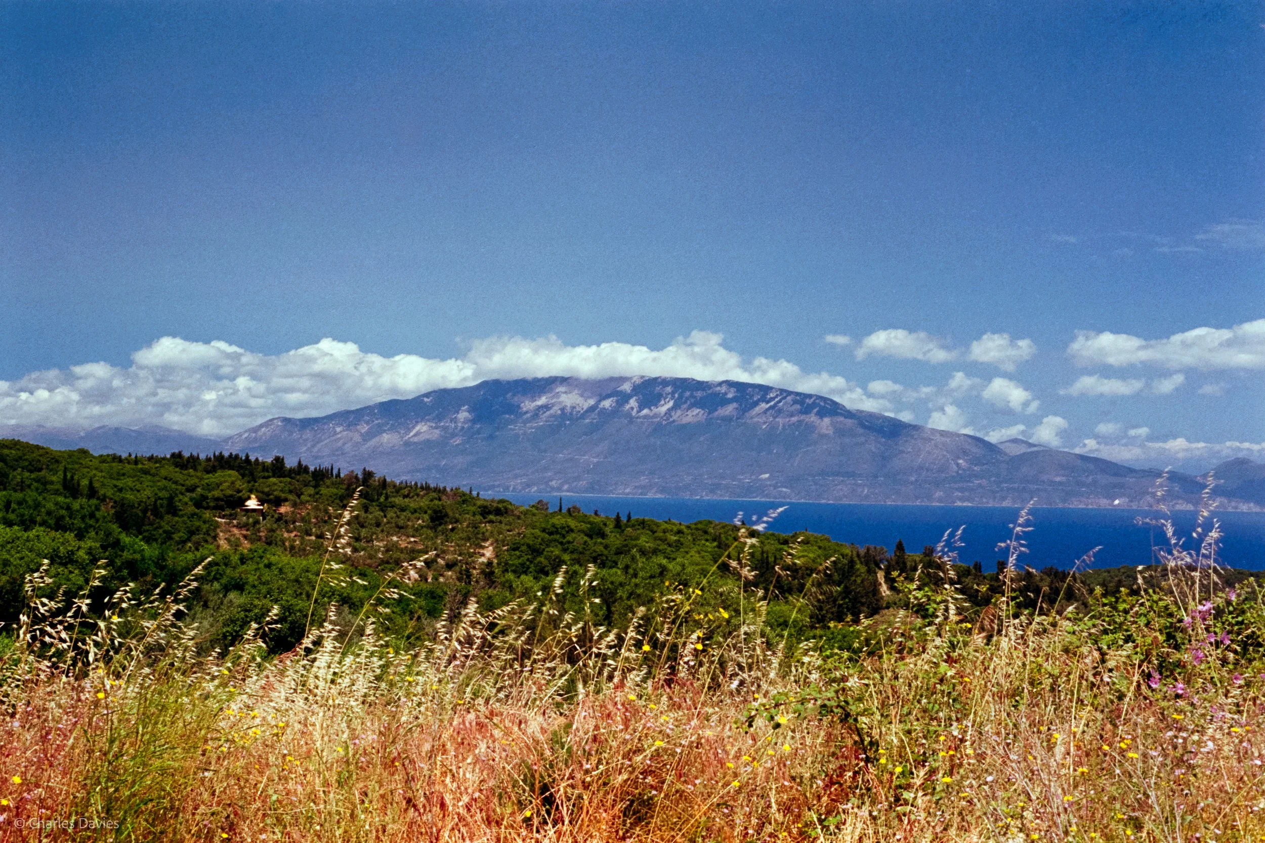  Image 4 - Aperture Priority 