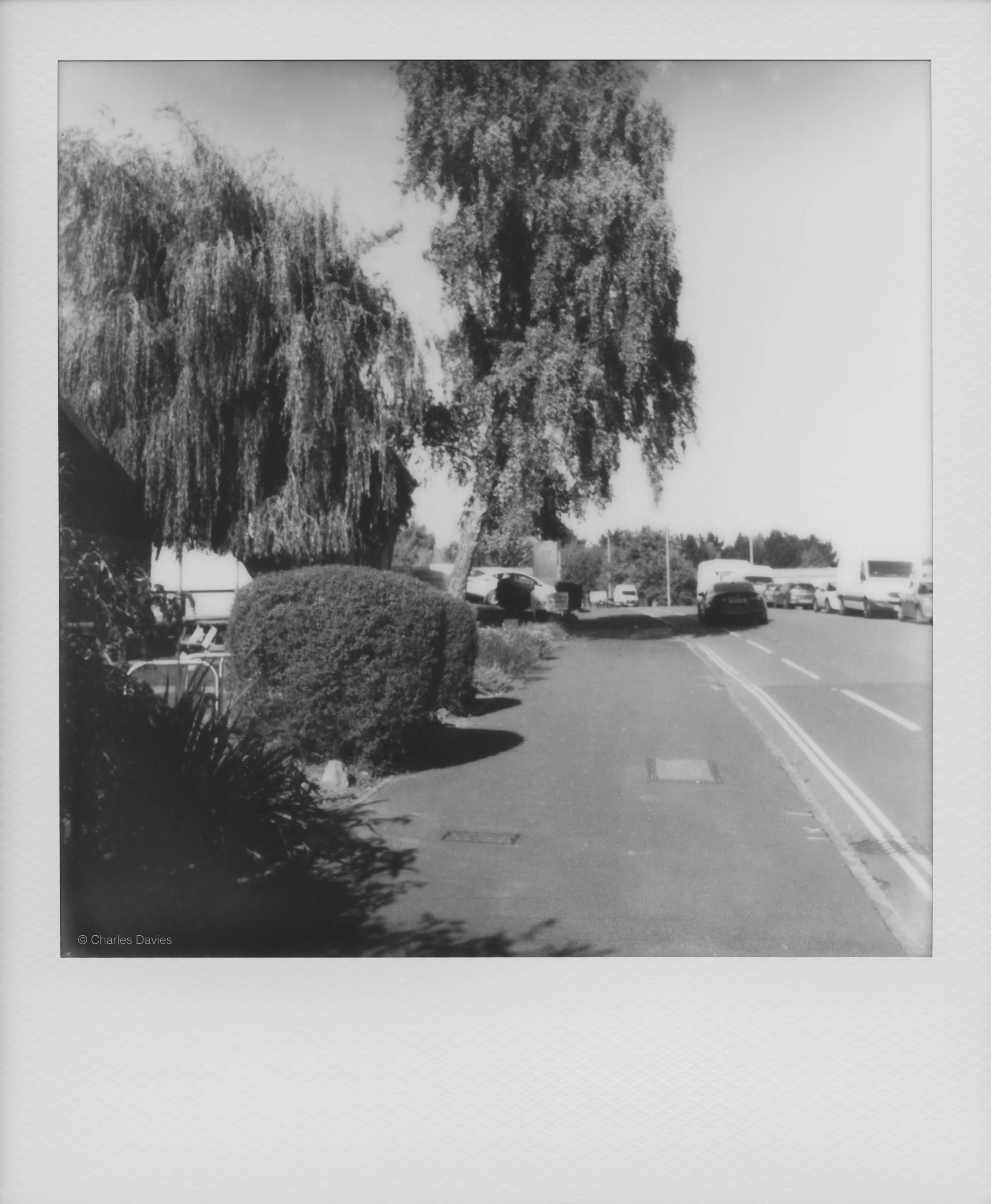 28 - 2022 - Polaroid Now.jpg