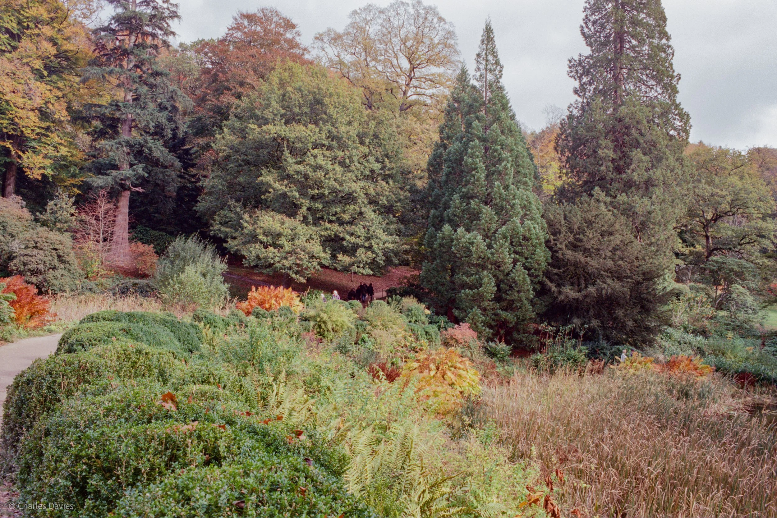 020.jpg