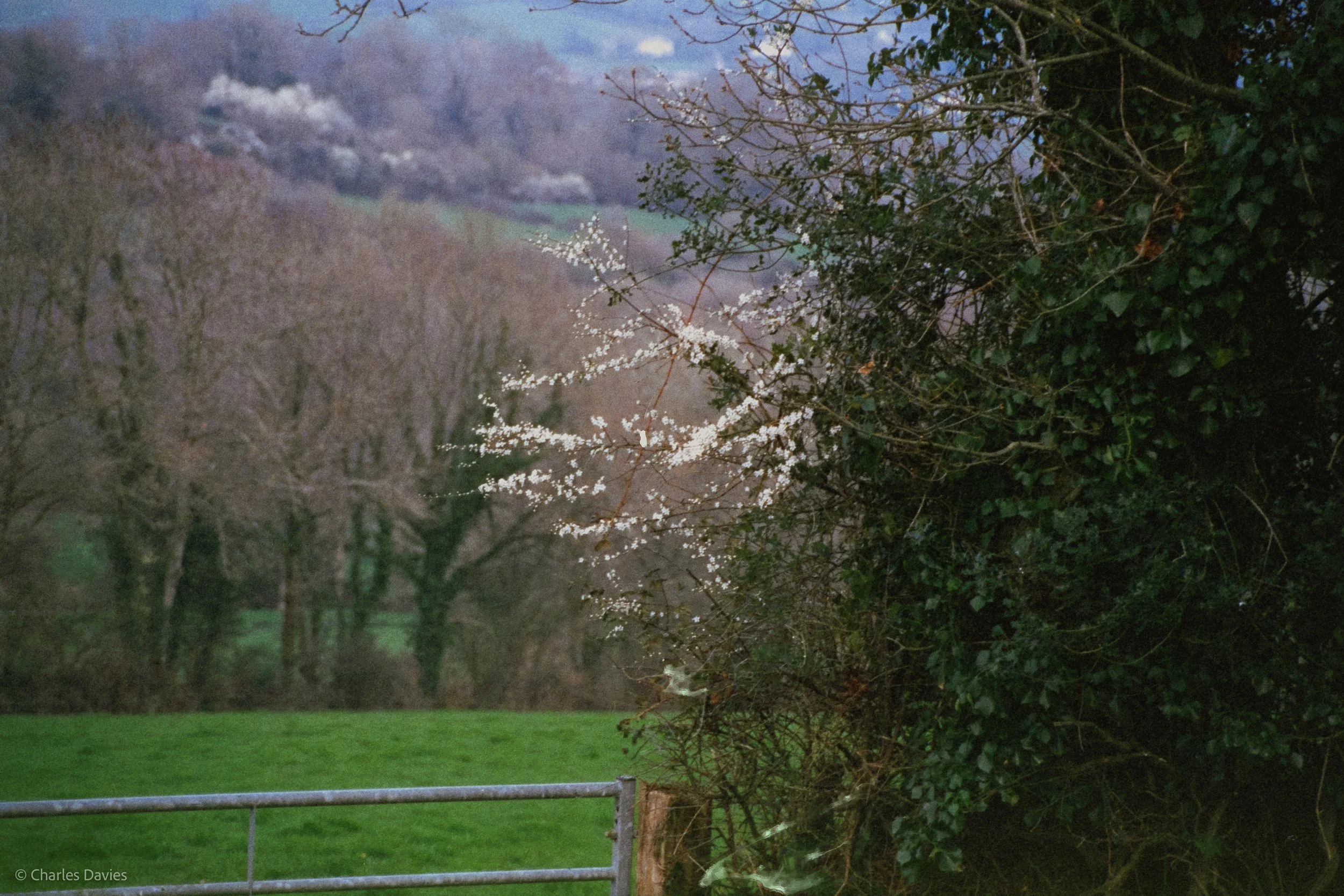 Shot 30 - Auto - Home 