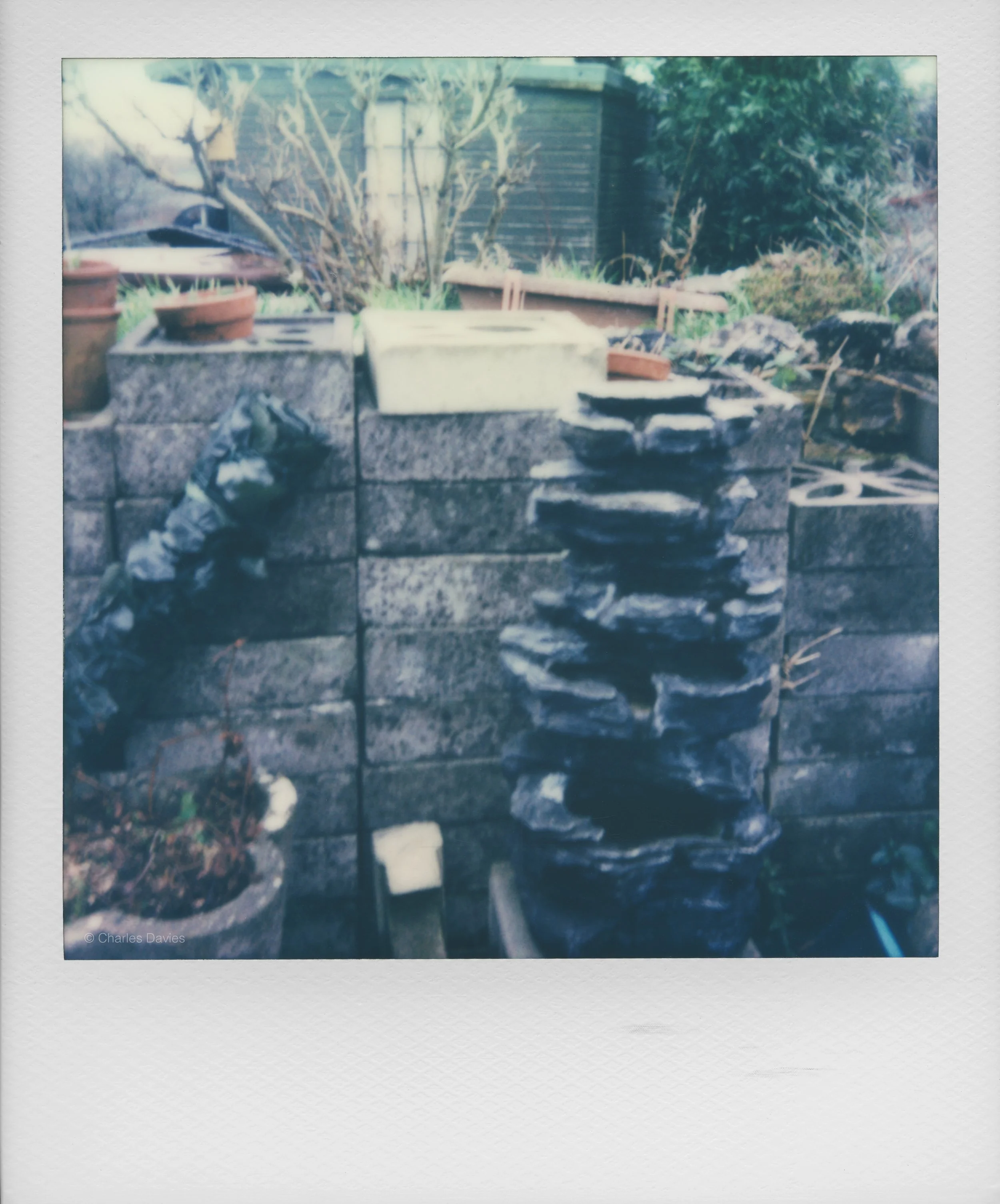 1 - 2023 - Polaroid Now.jpg