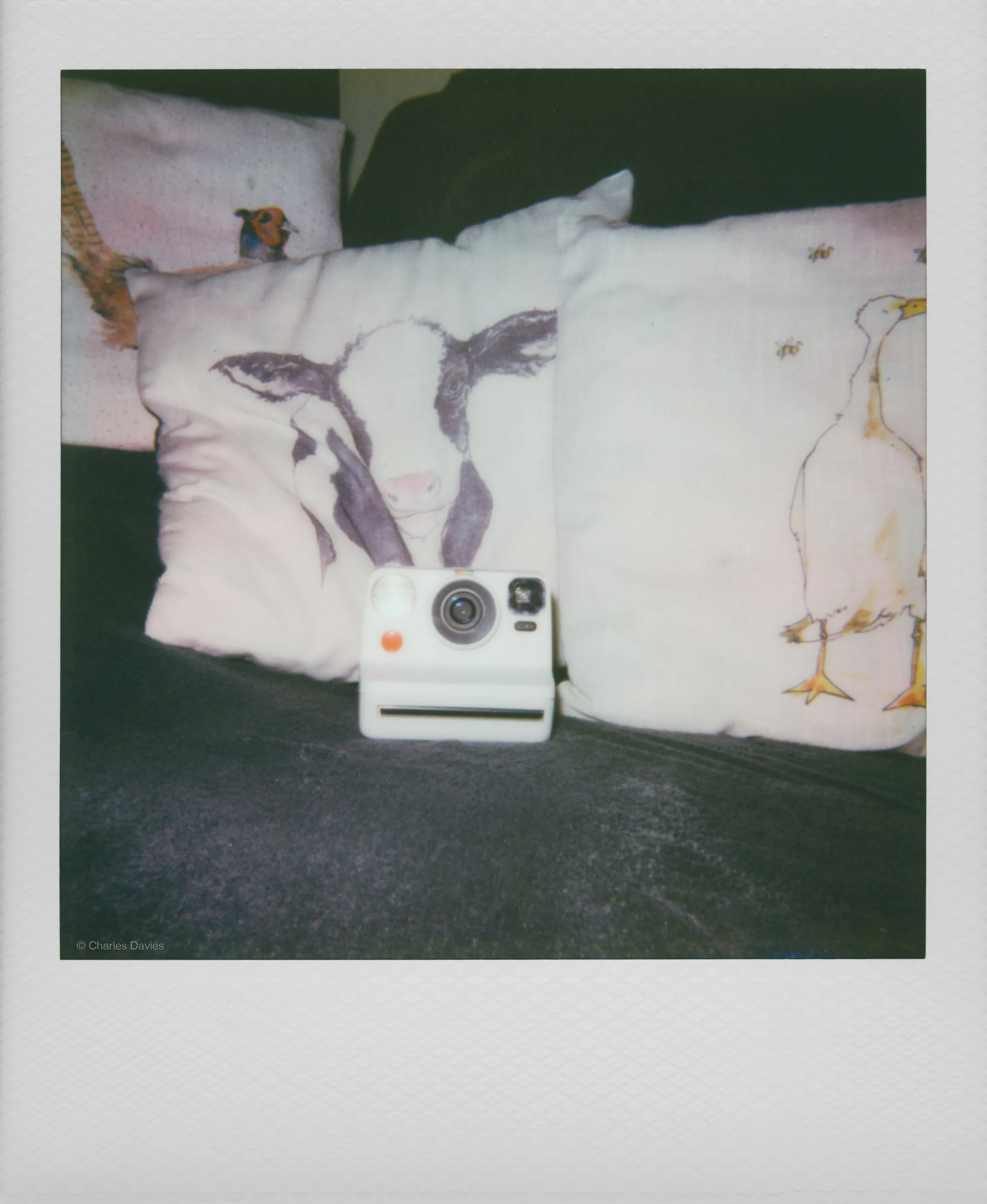 65 - 2025 - Polaroid Autofocus 660.jpg