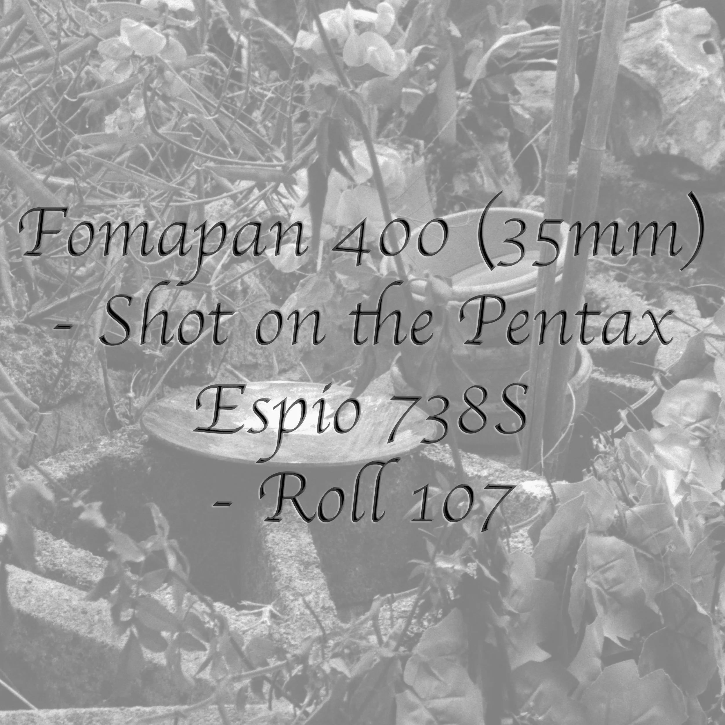 Fomapan 400 (35mm) - Roll 107