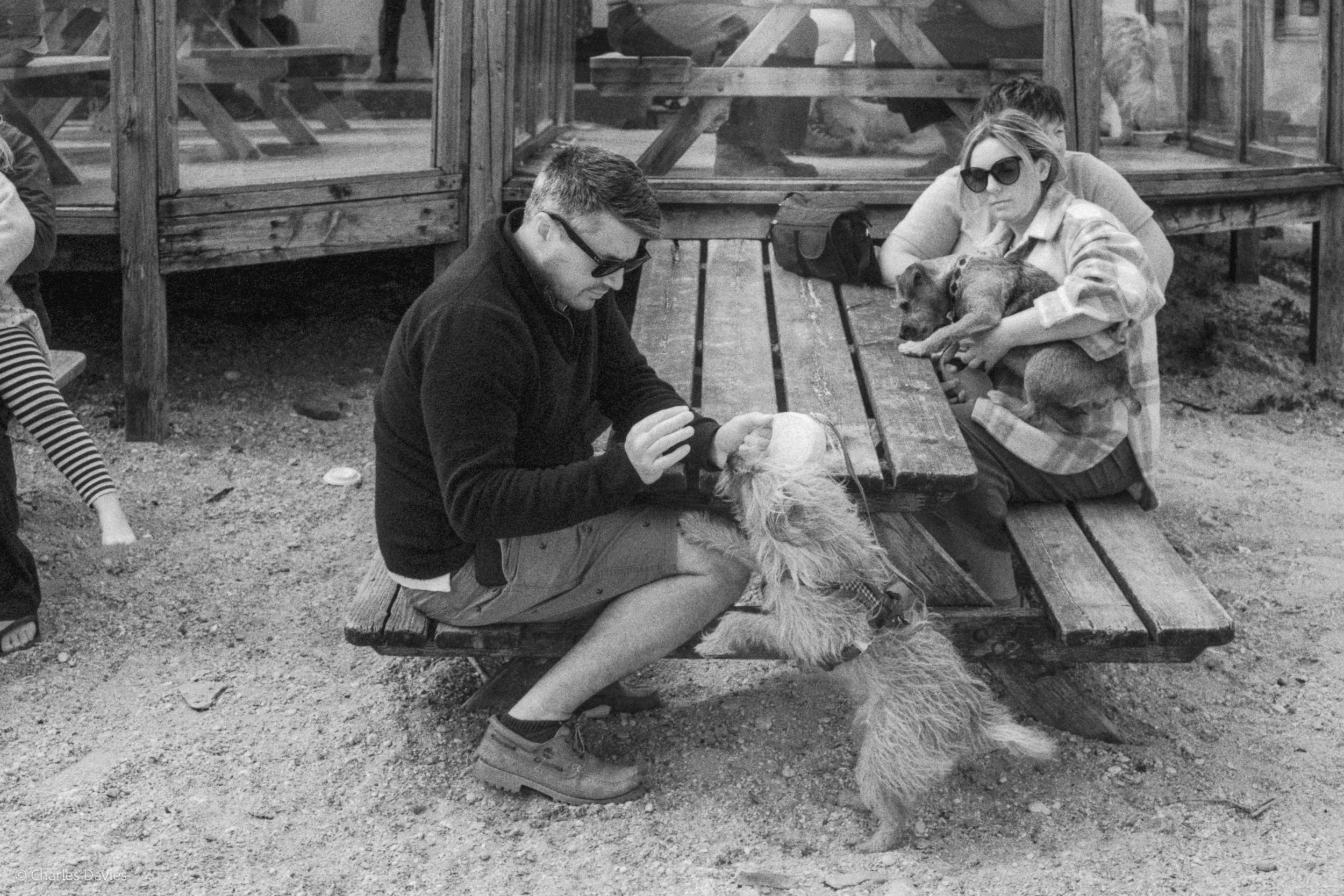 Roll 33 - 2025 - Europe - United Kingdom - Swanpool - Kentmere Pan 400 - Contax RTS - 35mm - Film - B&W