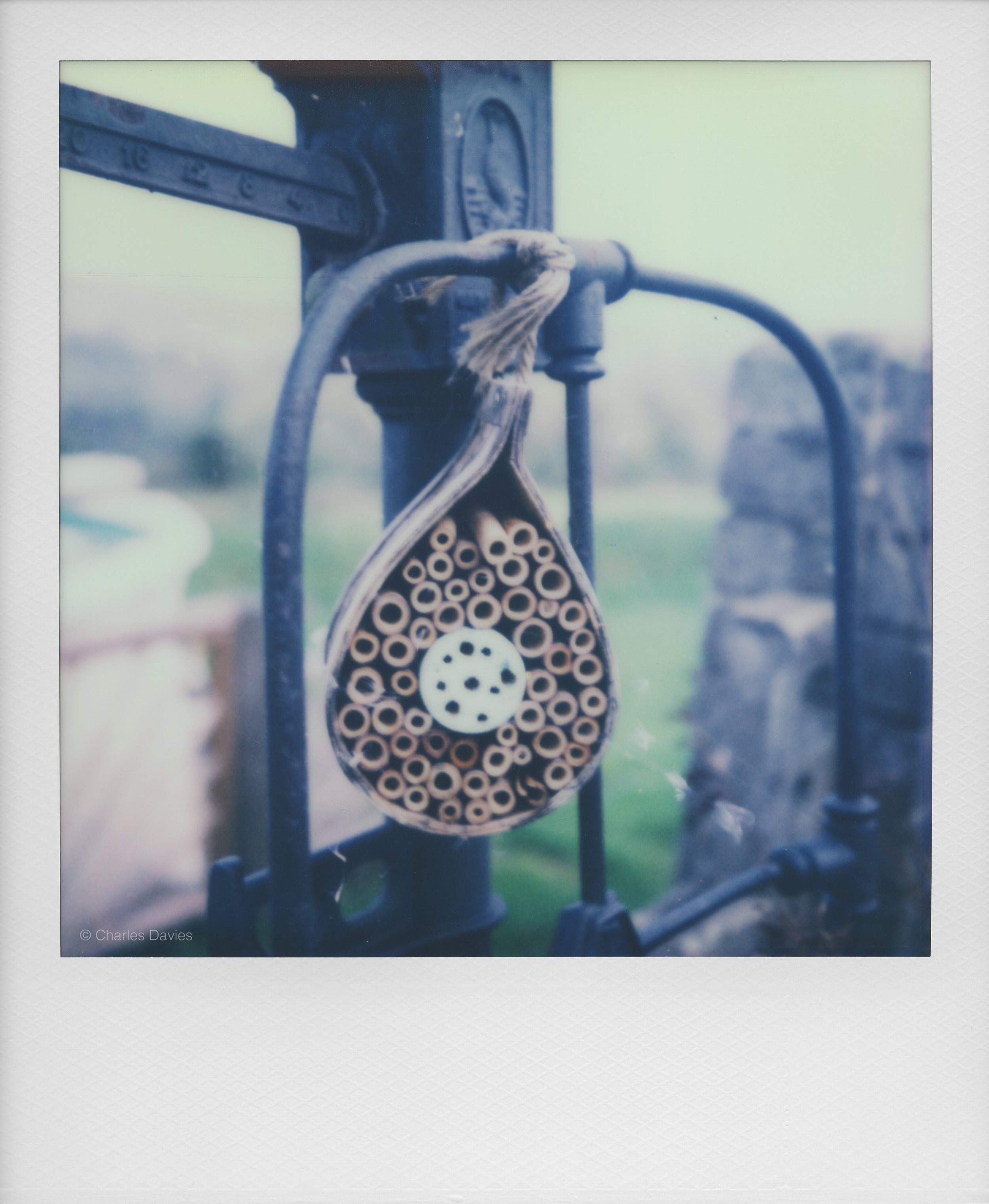50 - 2022 - Polaroid SX-70.jpg