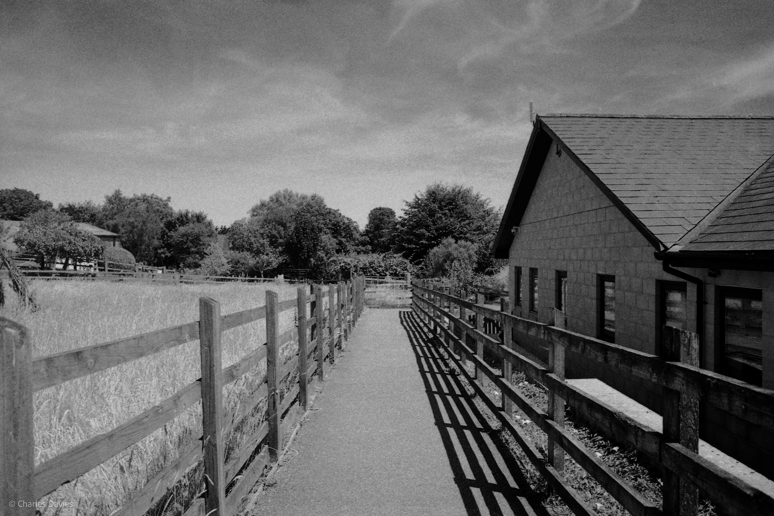 Shot 23 - Aperture Priority - The Donkey Sanctuary  