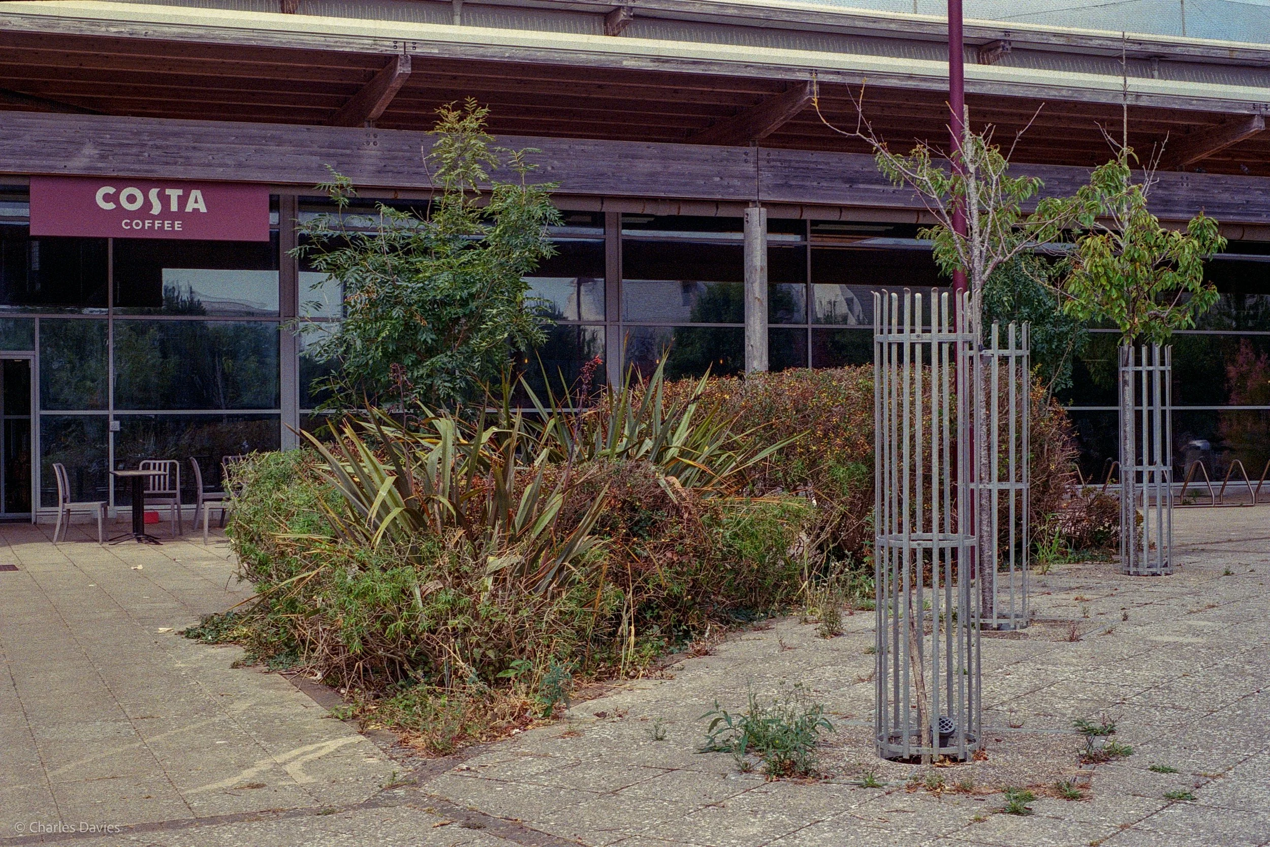015.jpg