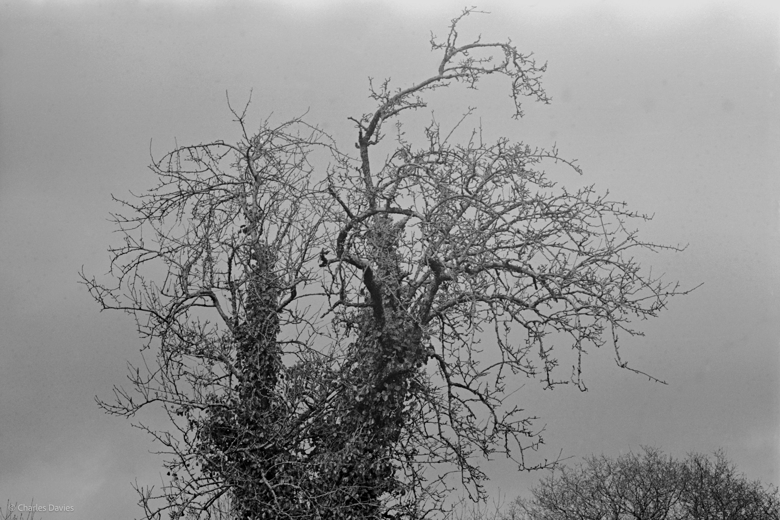 Shot 36 - F/11 + 1/250th - Home 