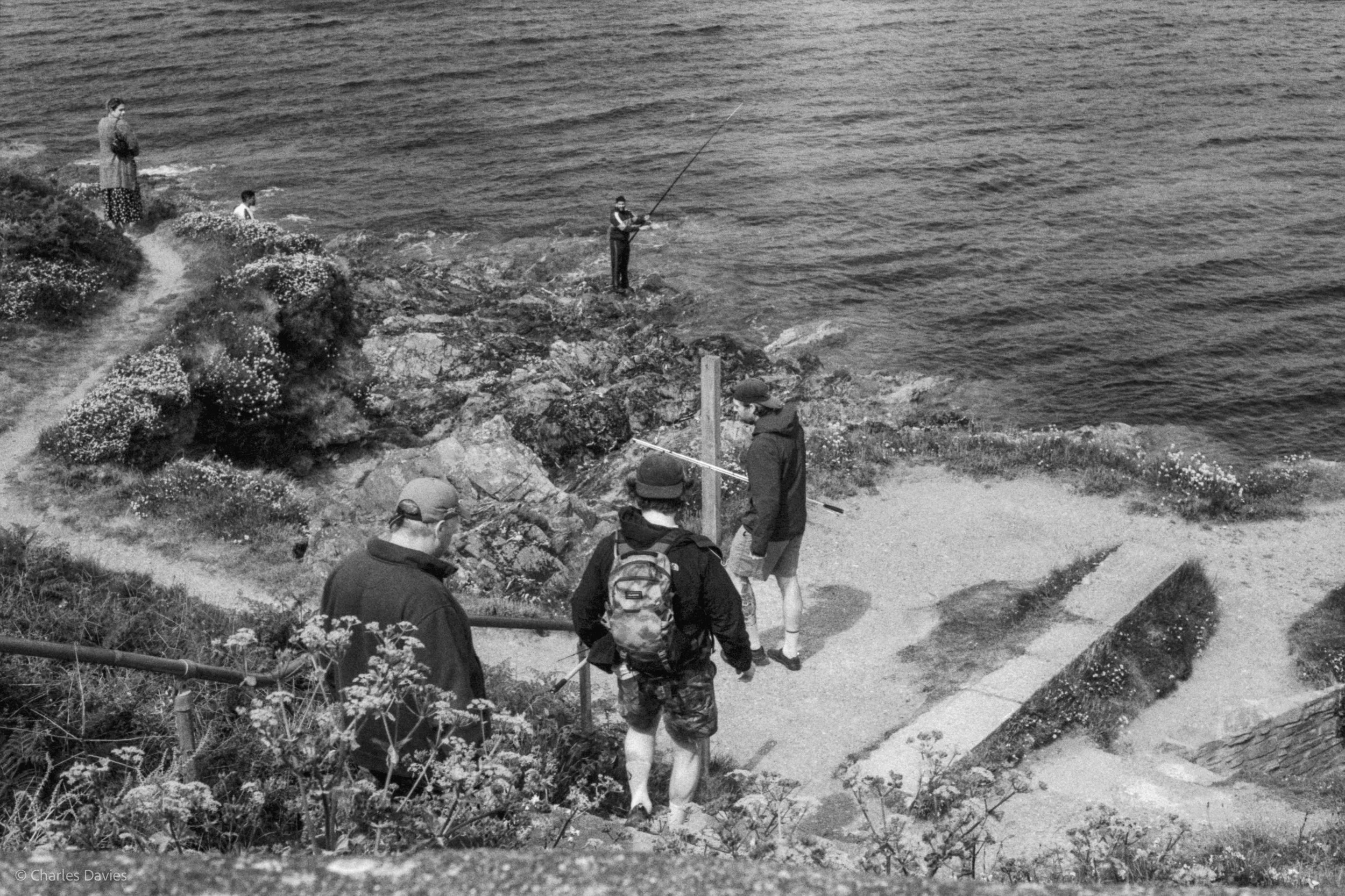 Roll 33 - 2025 - Europe - United Kingdom - Pendennis Point - Fomapan 400 - Contax RTS - 35mm - Film - B&W