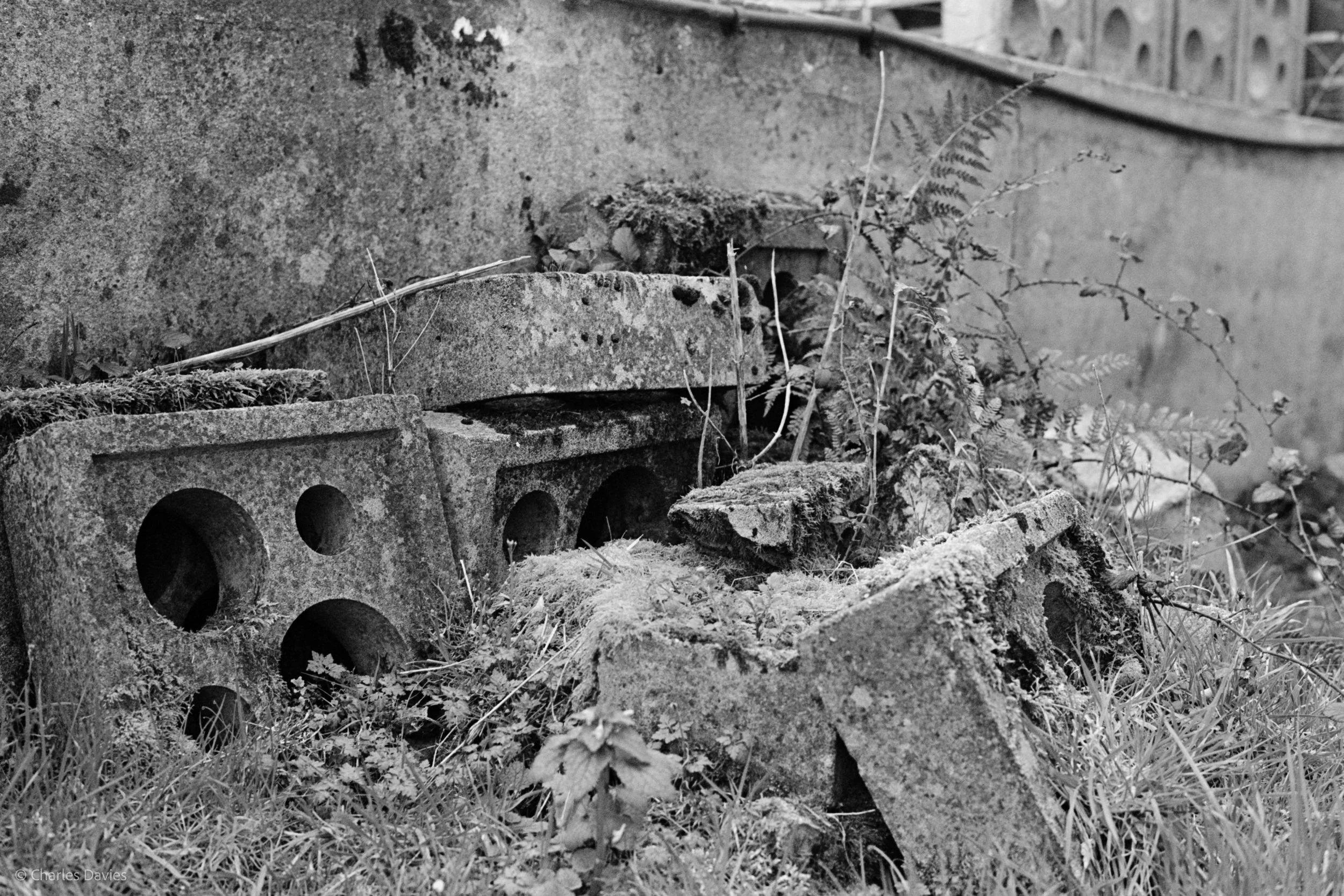 Shot 34 - F/5.6 + 1/500th - Home 