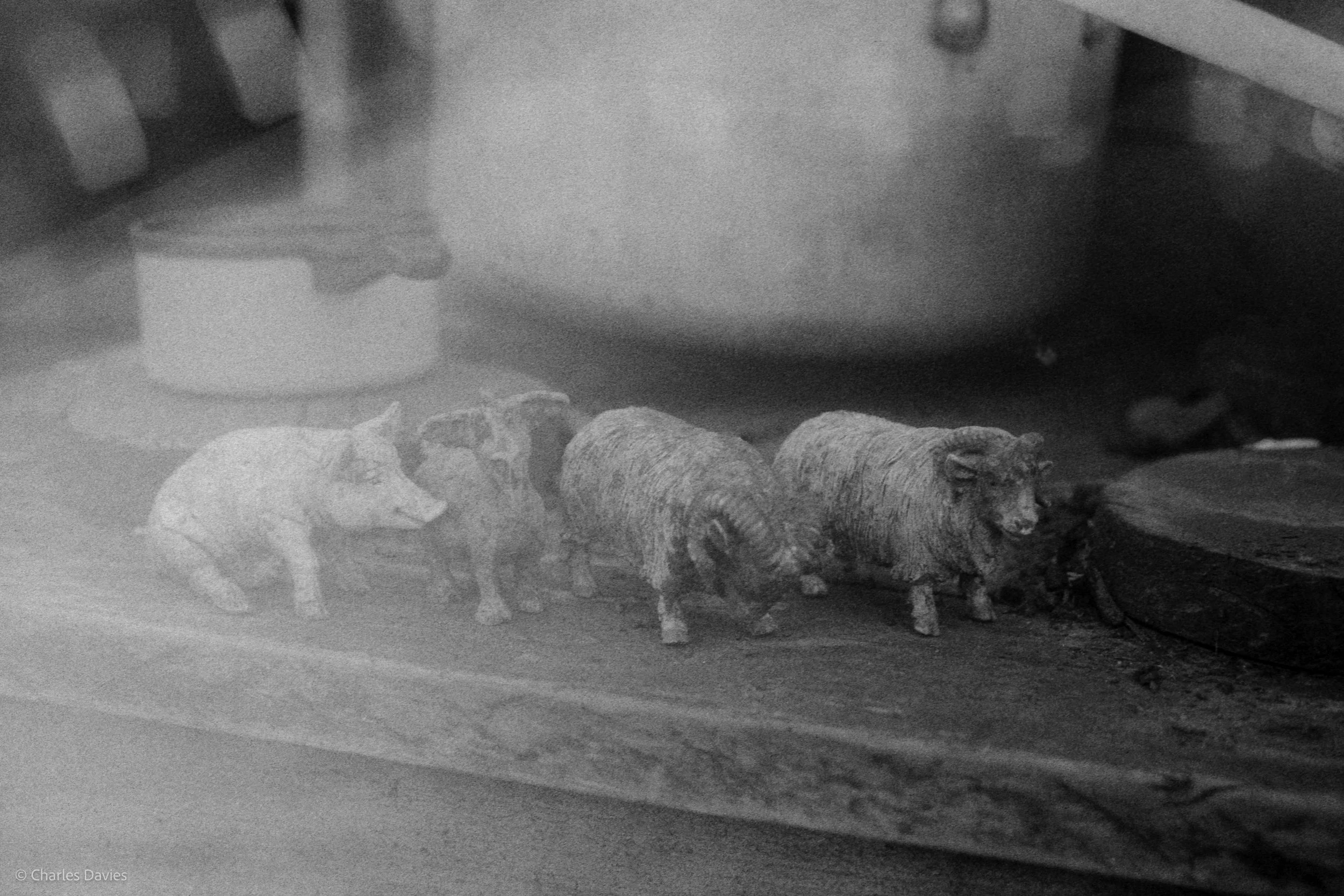 Shot 7 - Aperture Priority - Axminster