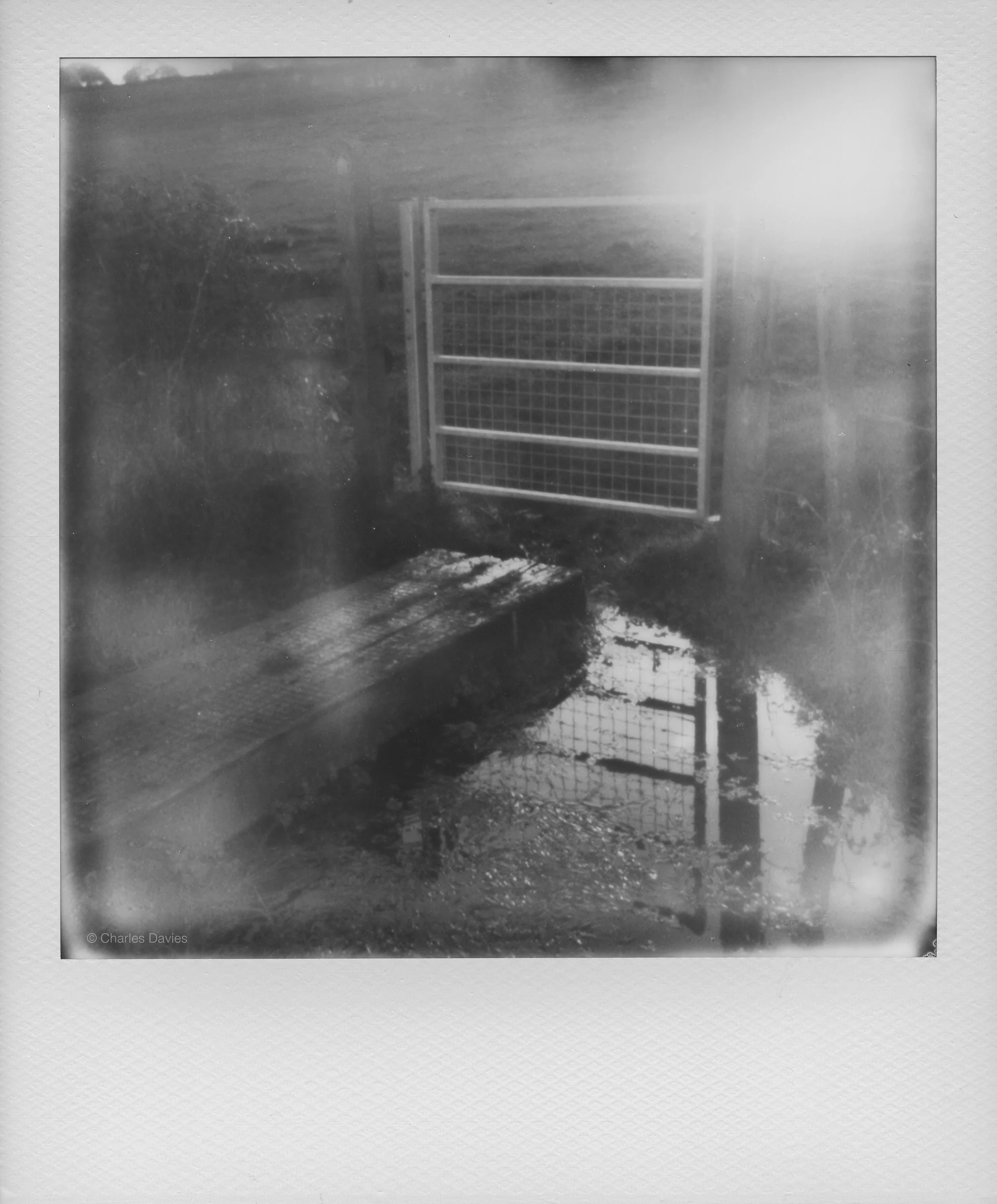 113 - 2022 - Polaroid Now.jpg