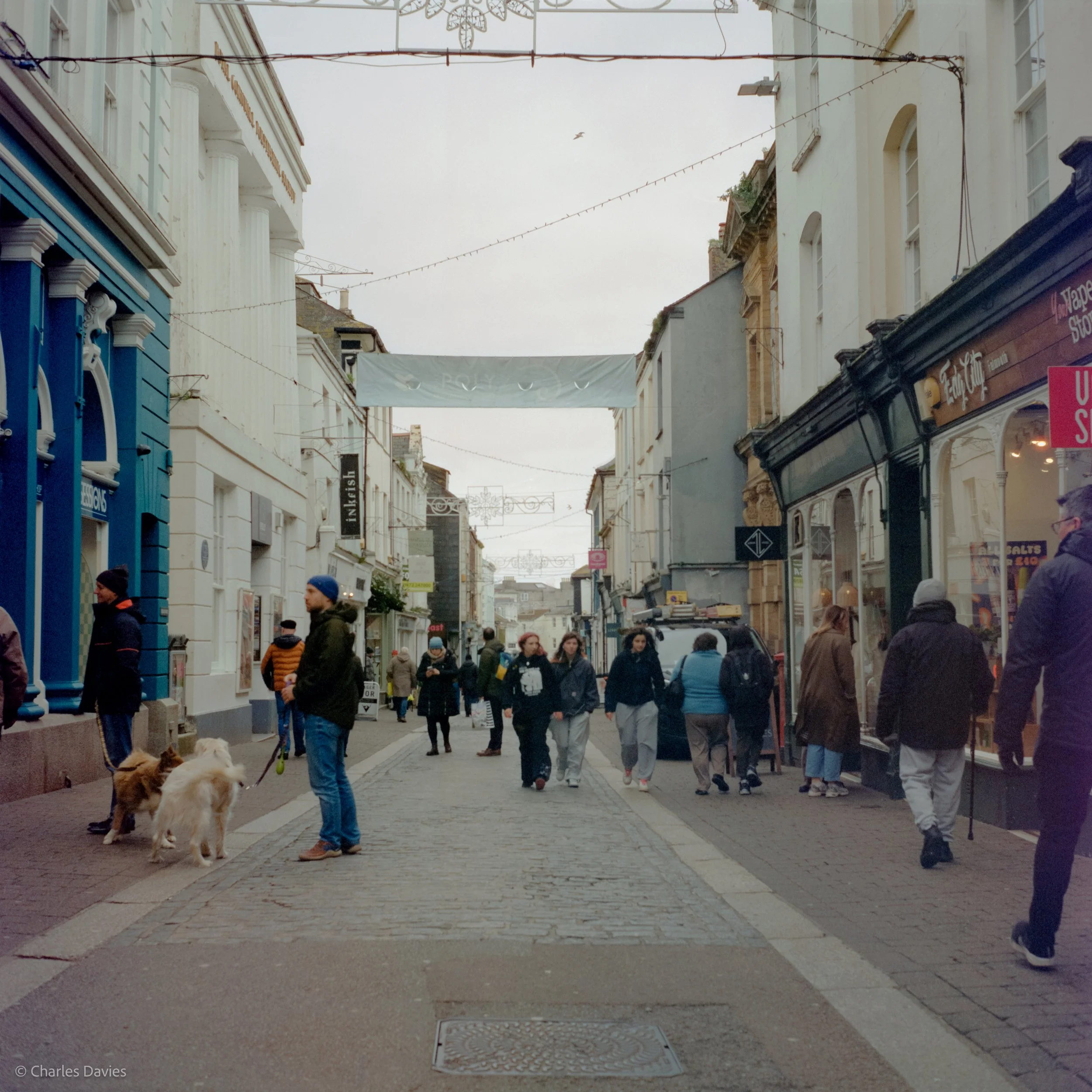 Image-11.jpg