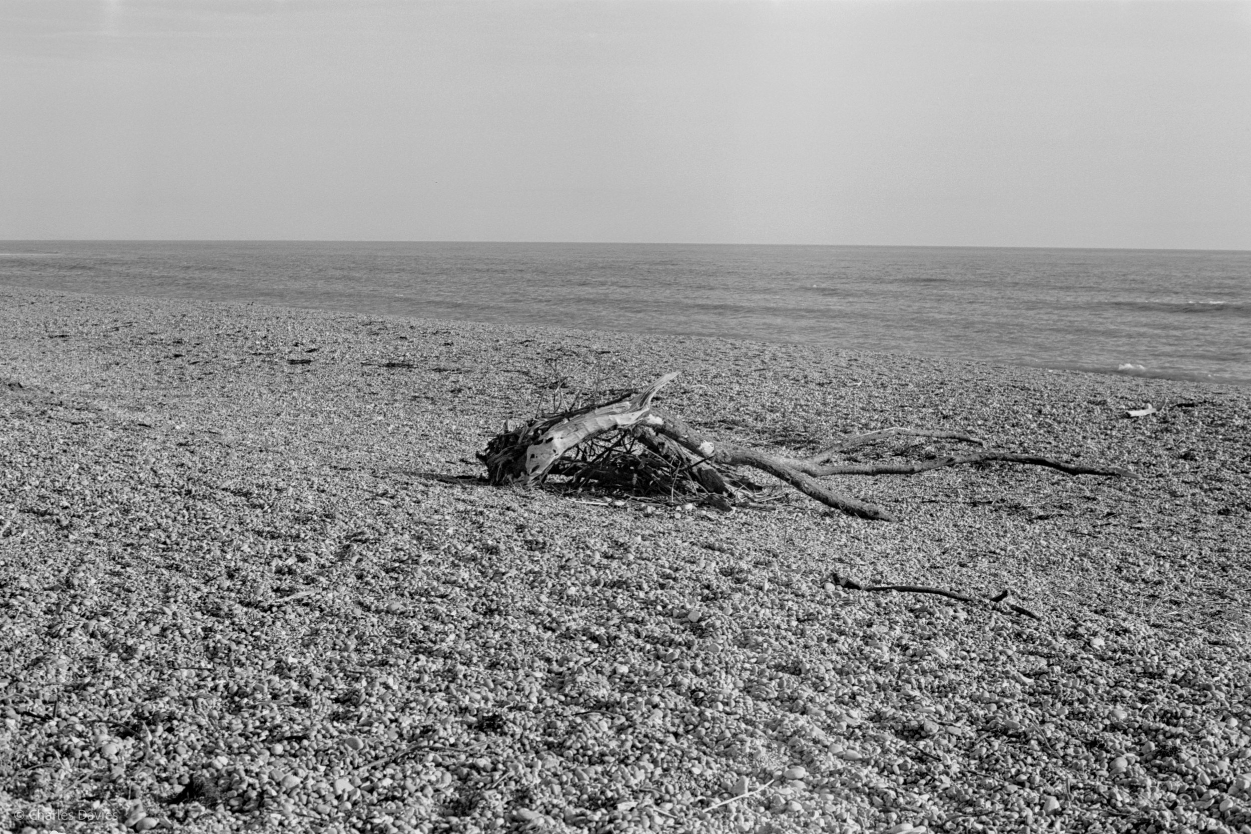 Shot 3 - F/8 + 1/500th - Seaton 