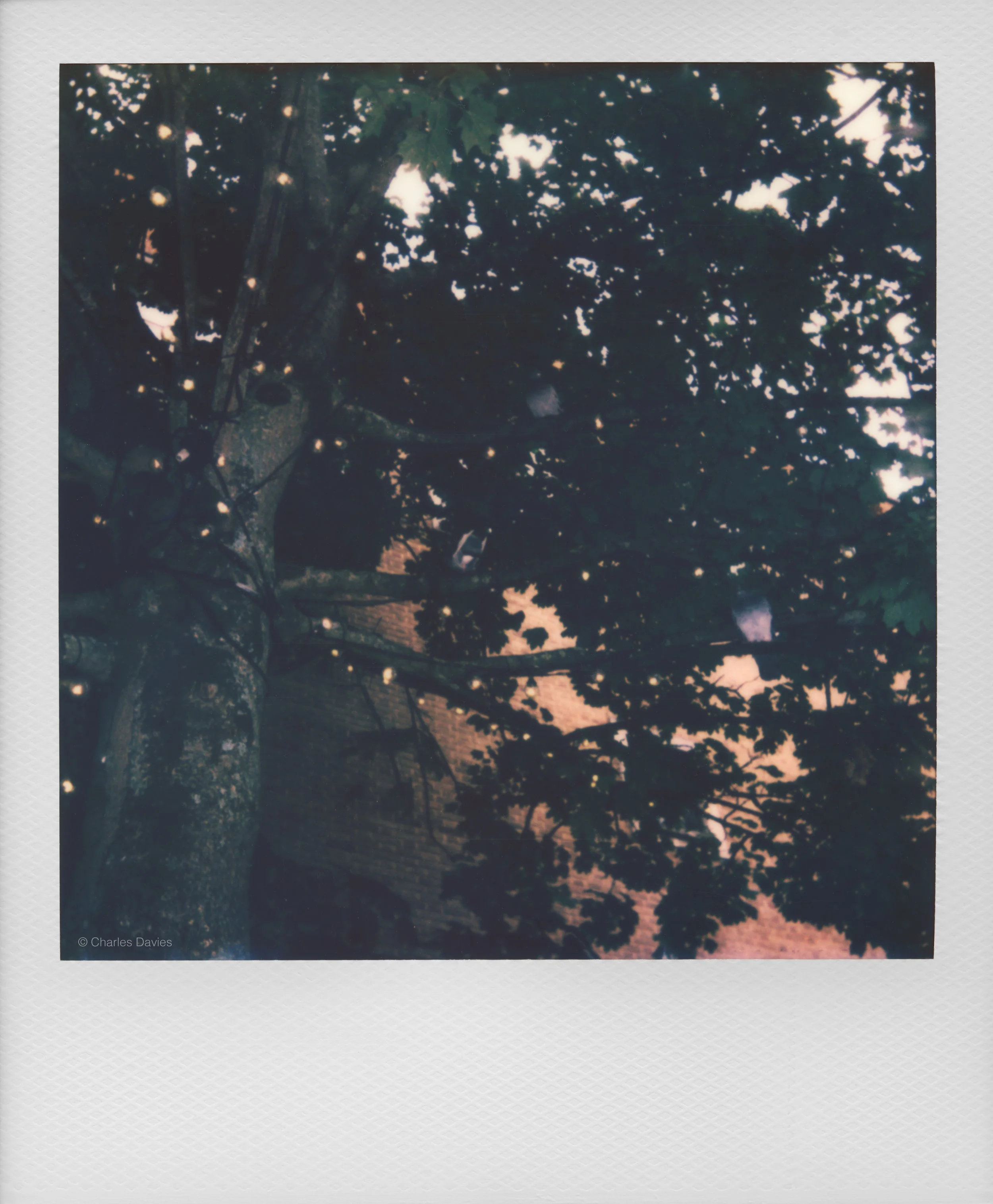 41 - 2022 - Polaroid Now.jpg