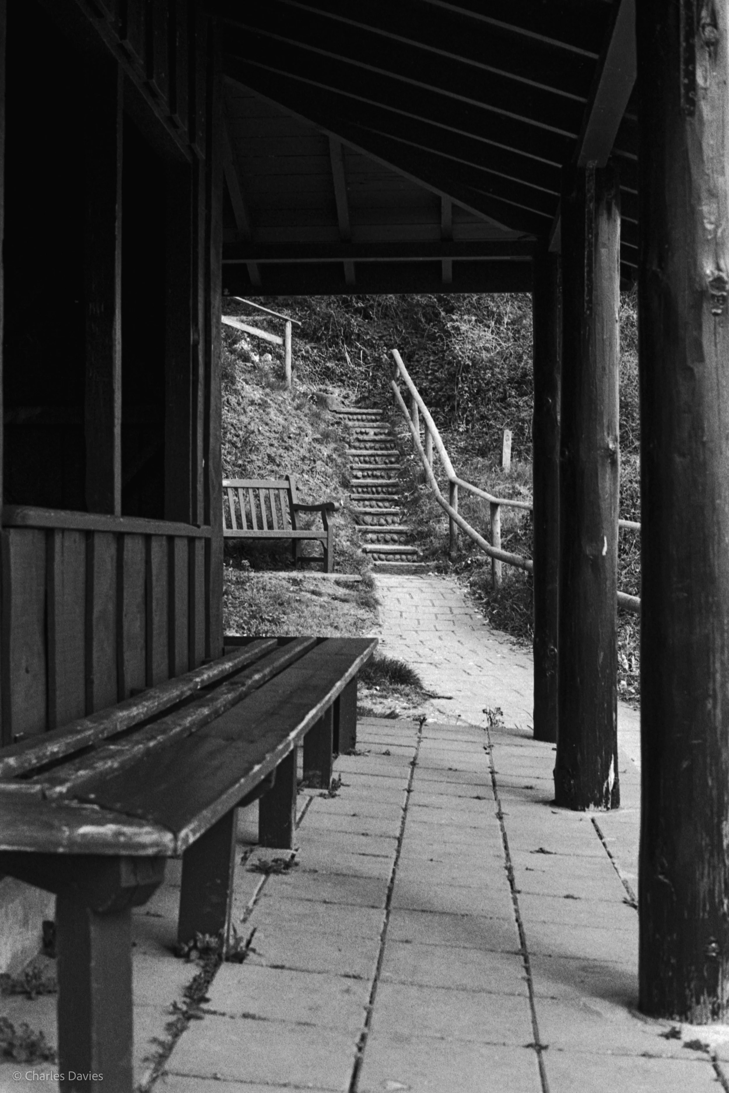 Roll 27 - 2025 - Europe - United Kingdom - Beer - Ilford HP5 Plus 400 - Contax RTS - 35mm - Film - B&W 