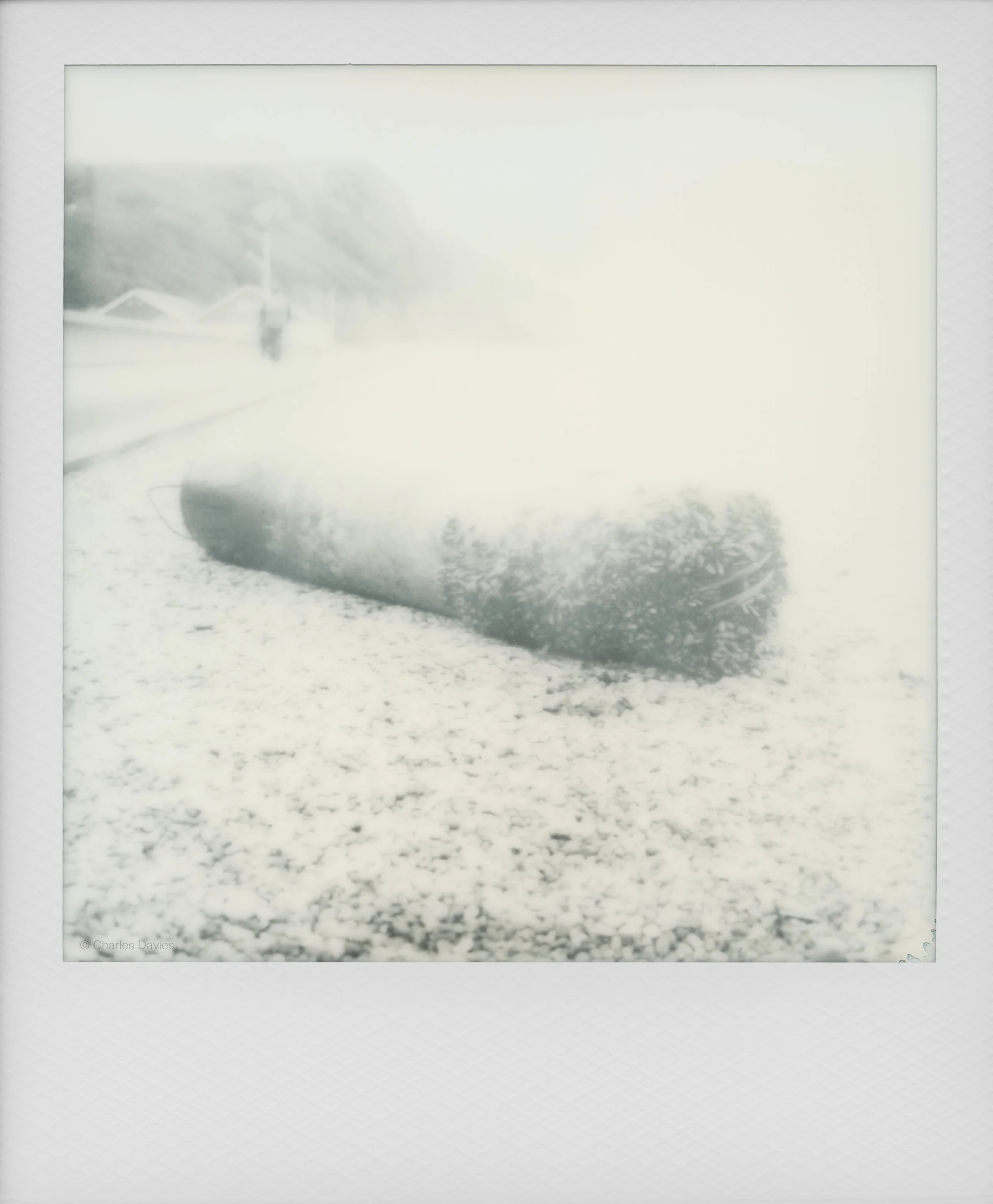 22 - 2025 - Polaroid SX-70 Sonar (aged).jpg