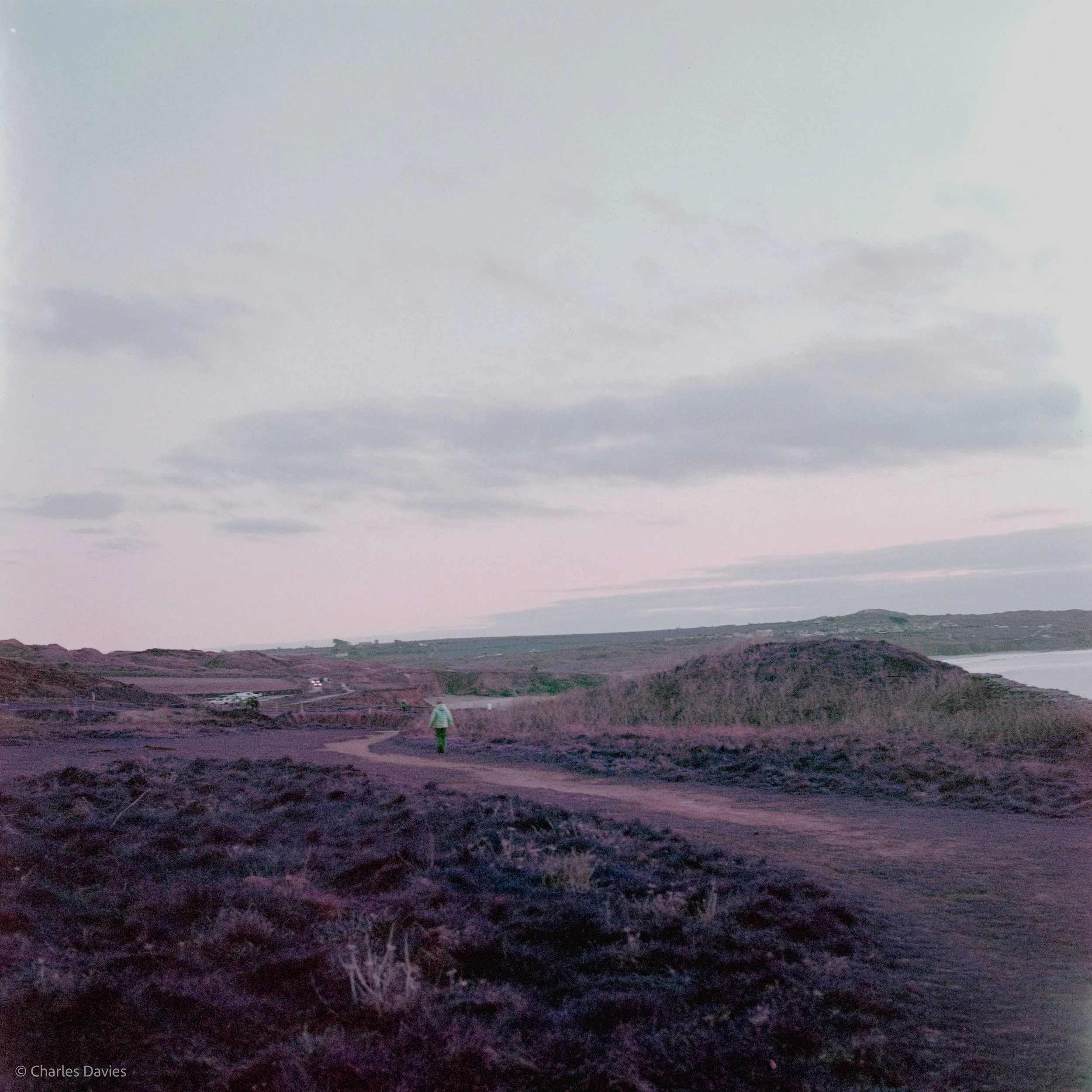 Image-8.jpg