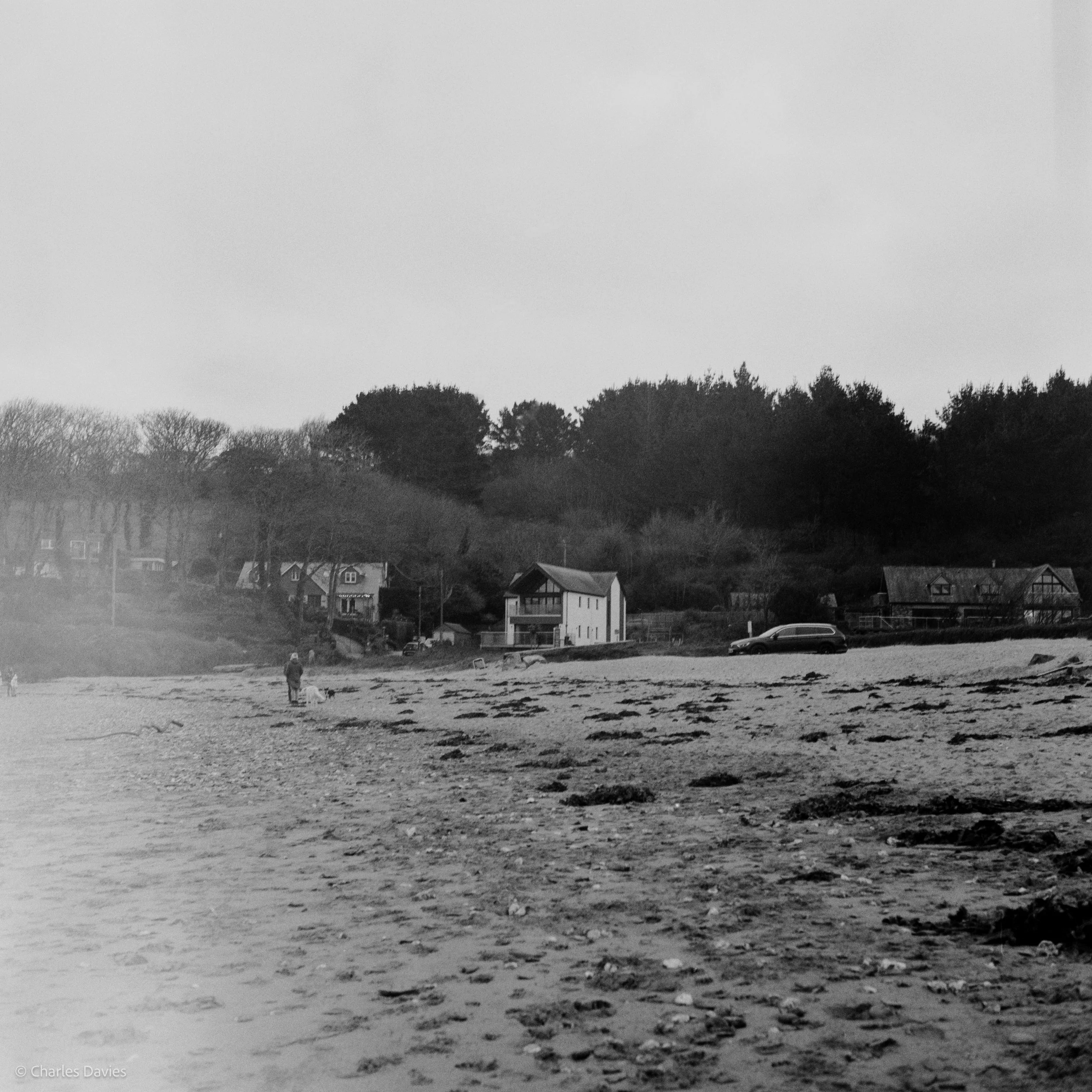 Image-8.jpg