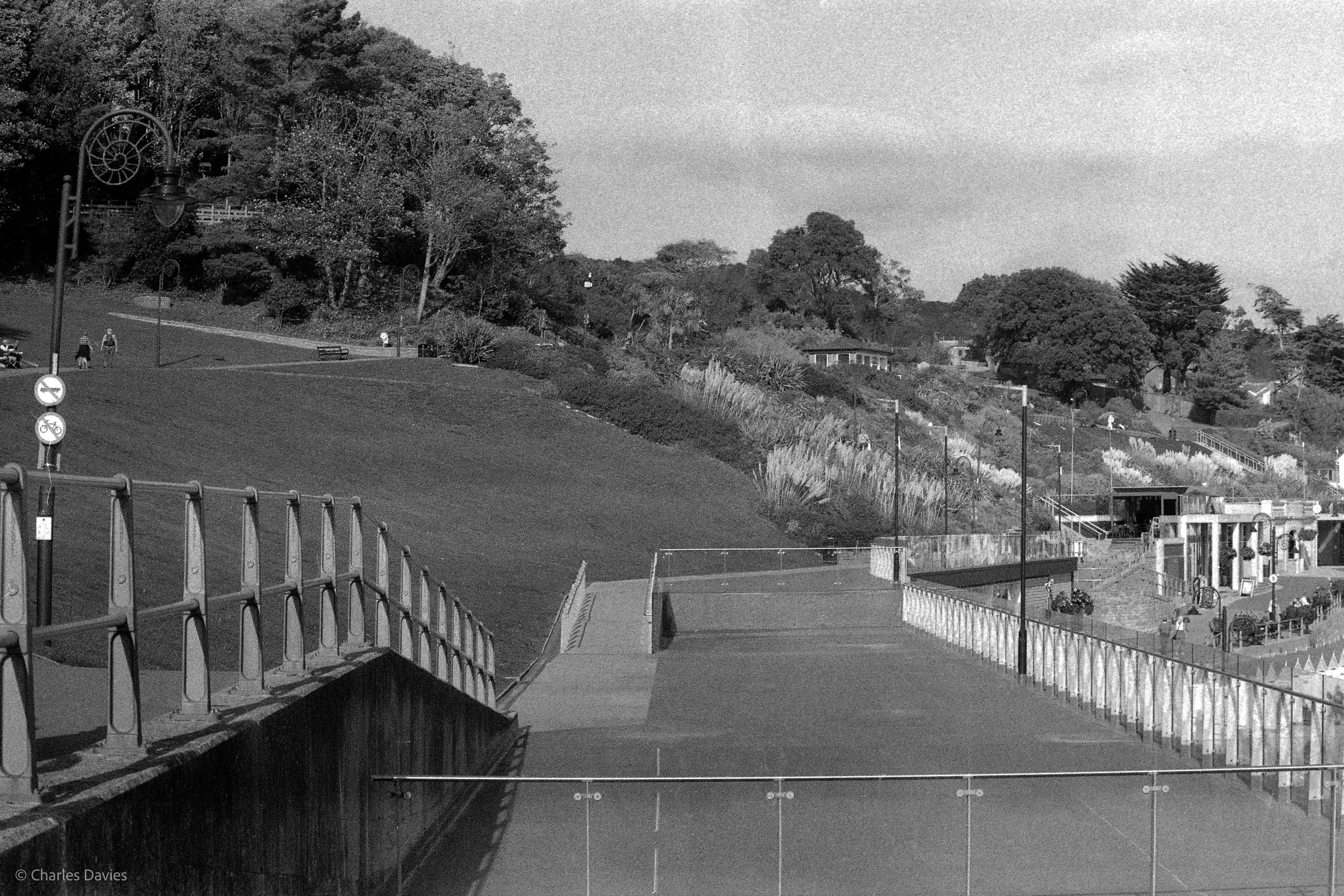029.jpg