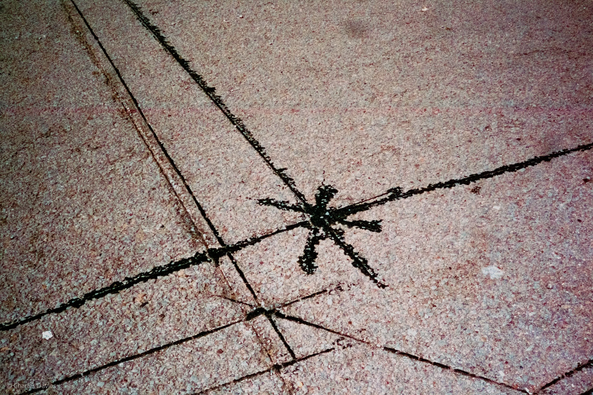 Roll 10 - 2023 - Europe - United Kingdom - Exeter - Kodak UltraMax 400 - Olympus 35DC - 35mm - Film - Colour 
