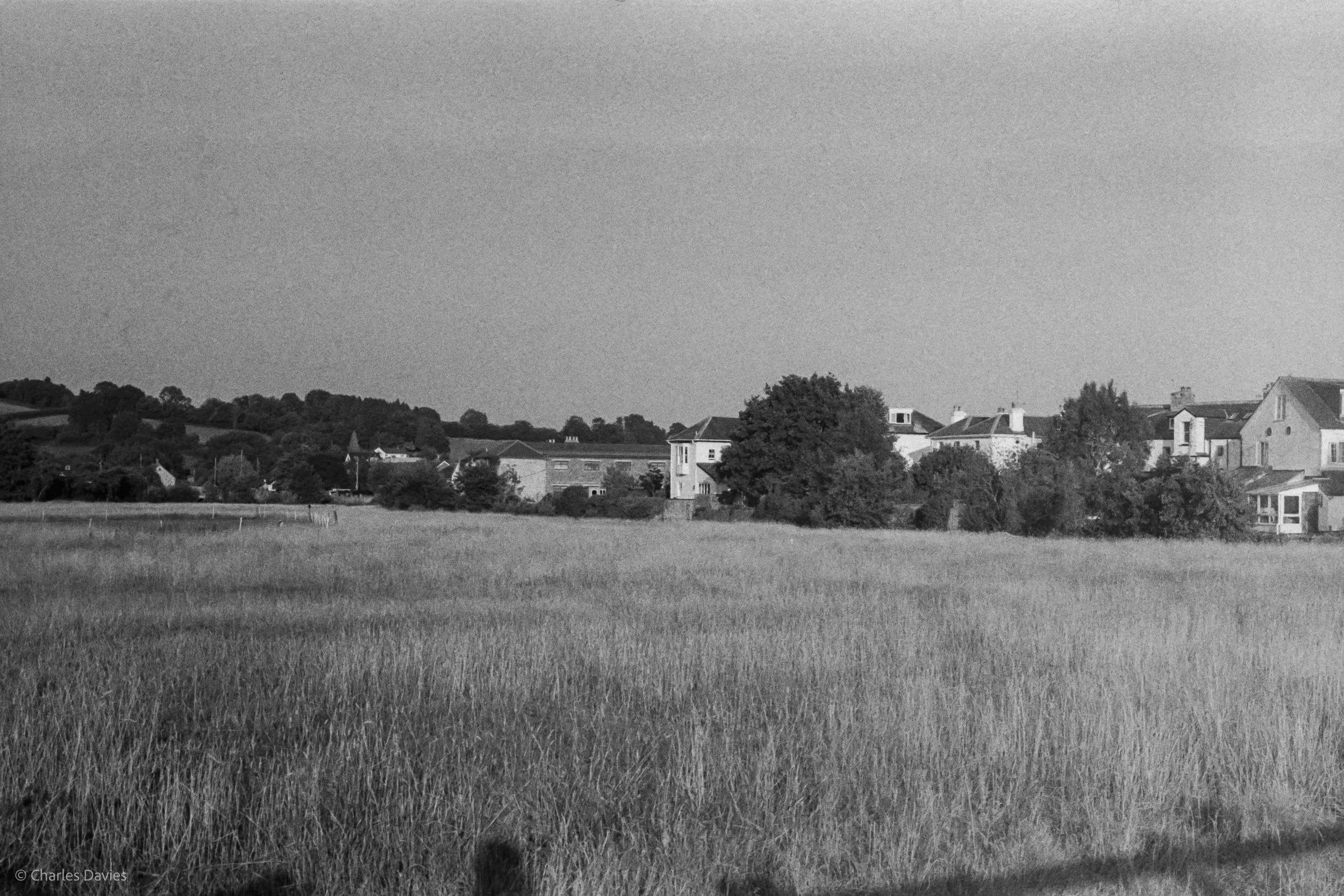 031.jpg