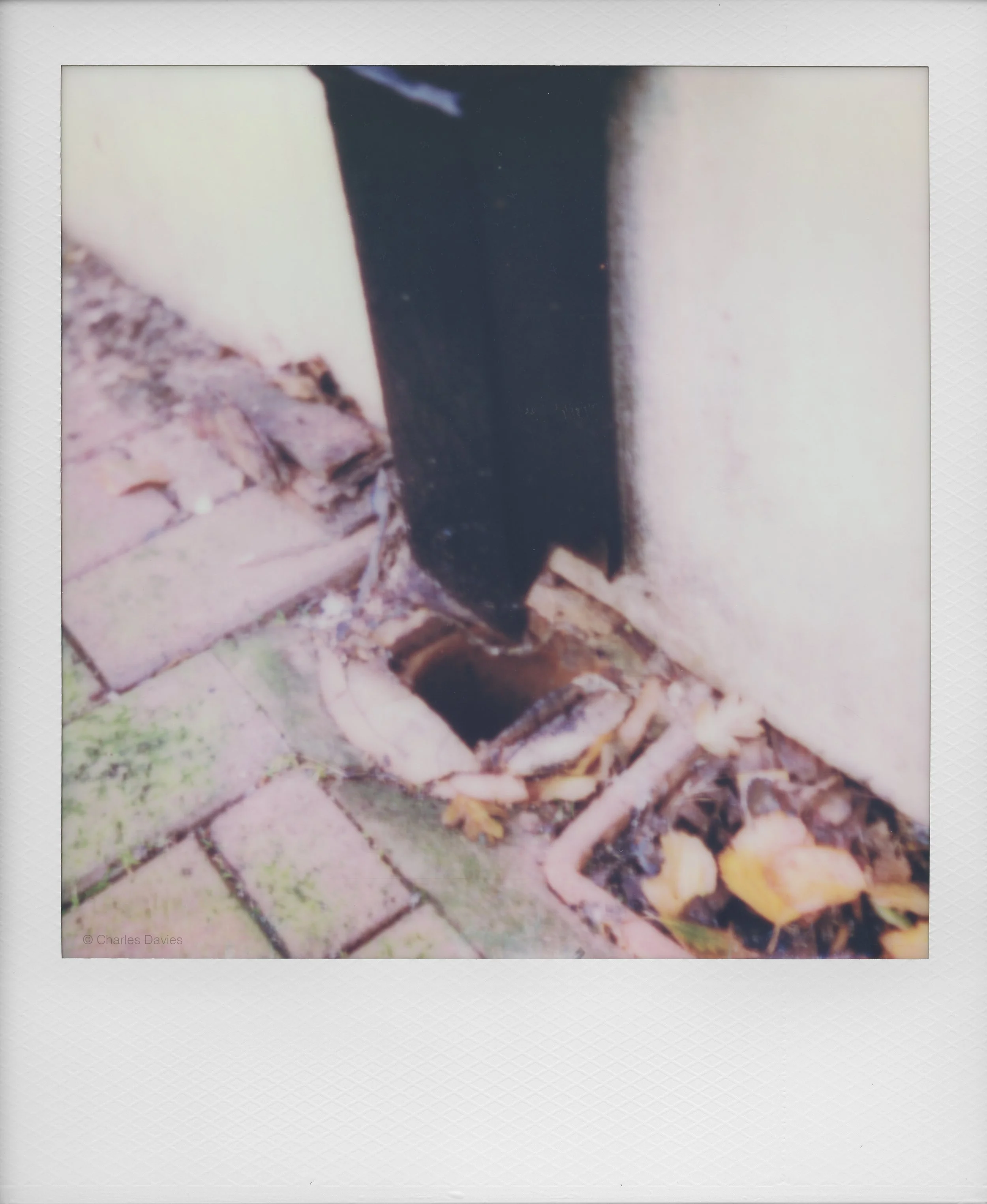 71 - 2022 - Polaroid SX-70.jpg