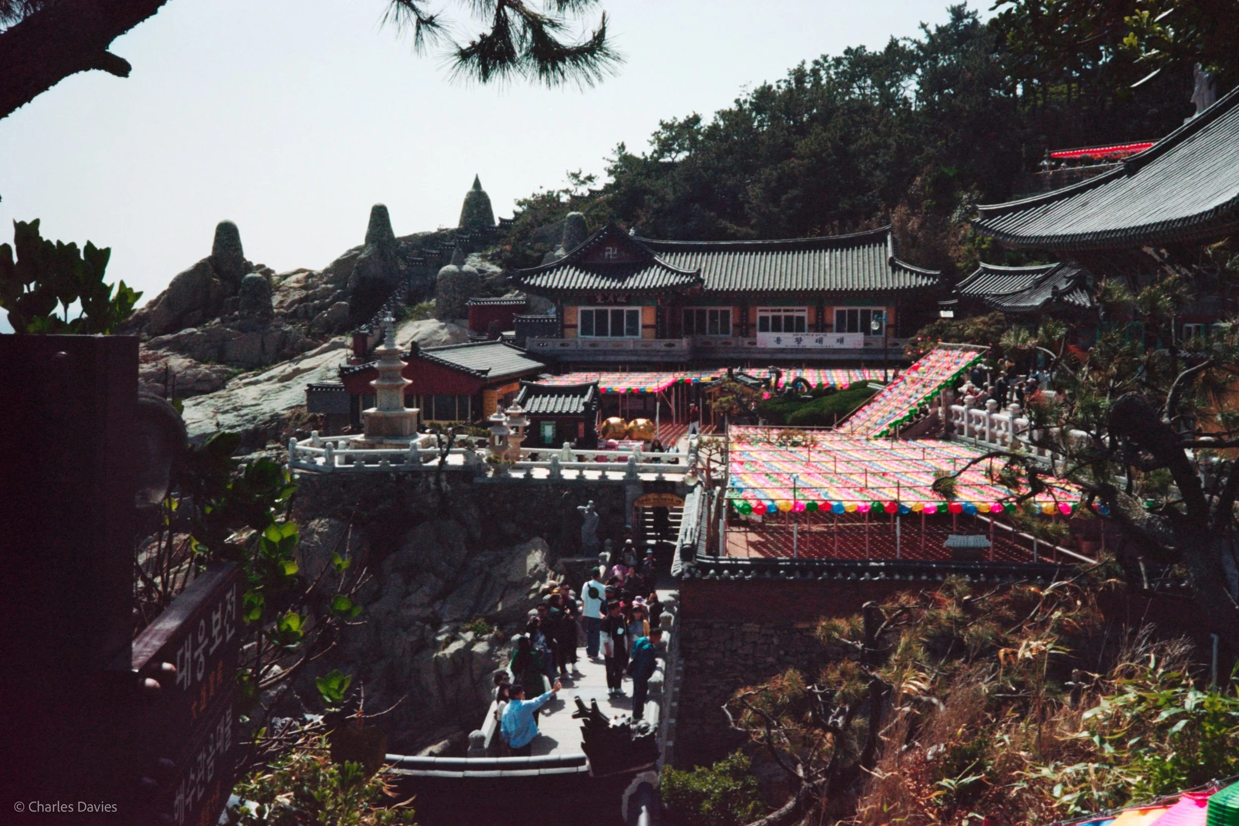 Roll 6 - 2023 - South East Asia - South Korea - Busan - Kodak Portra 160 - Olympus 35DC - 35mm - Film - Colour 