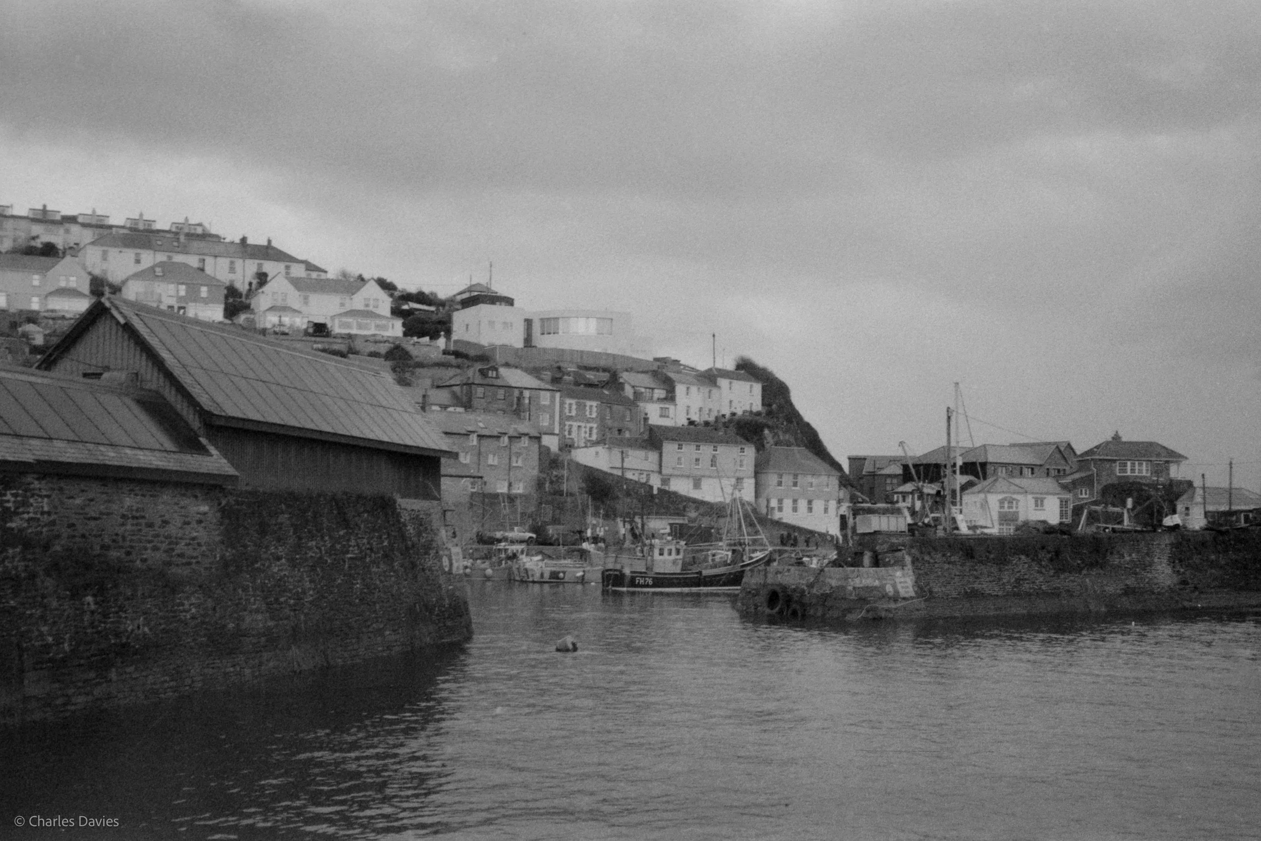 Image-7.jpg