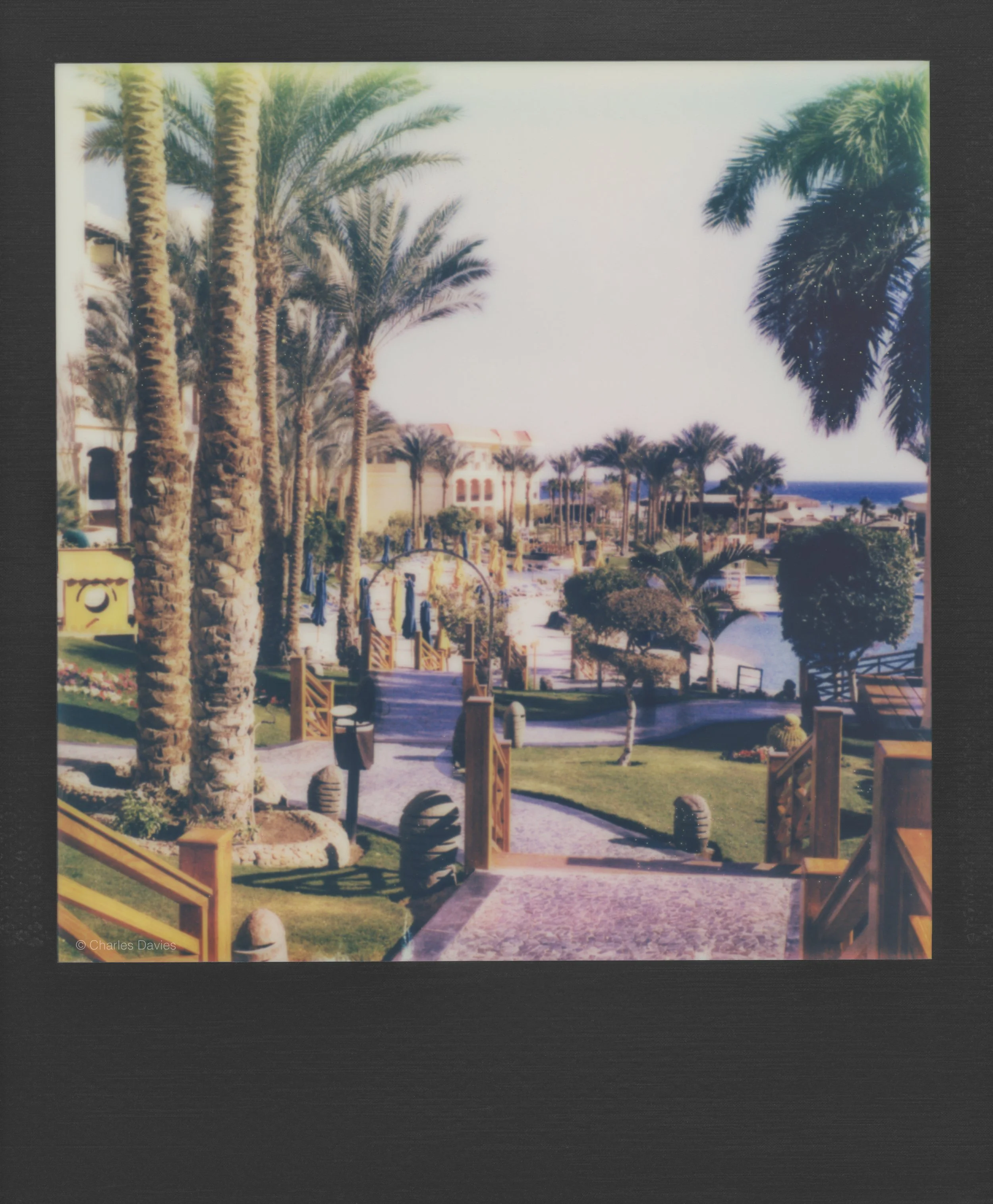 26 - 2023 - Polaroid SX-70.jpg