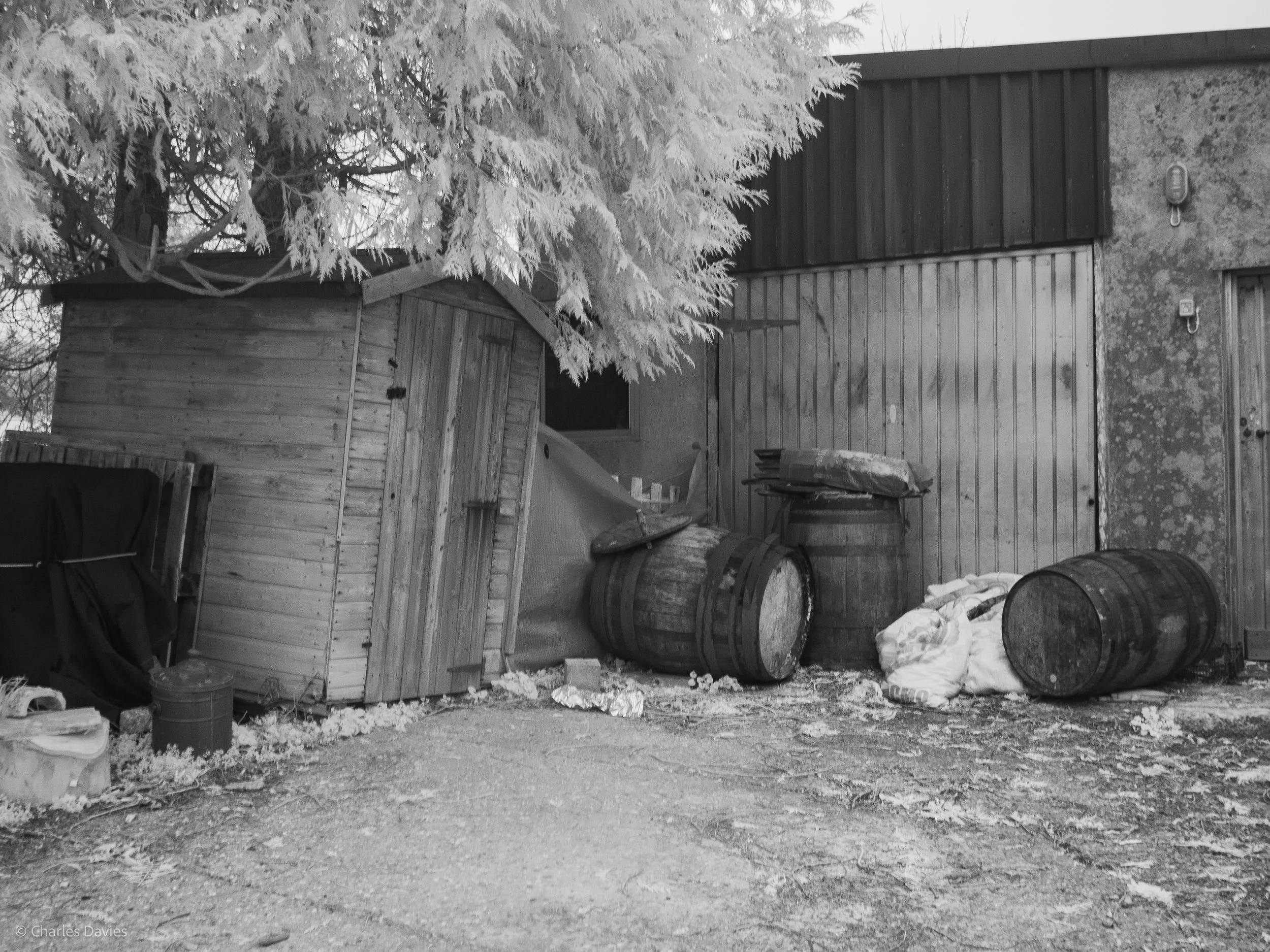 Manual - ISO 200 + F/5.6 + 1/20th - Home