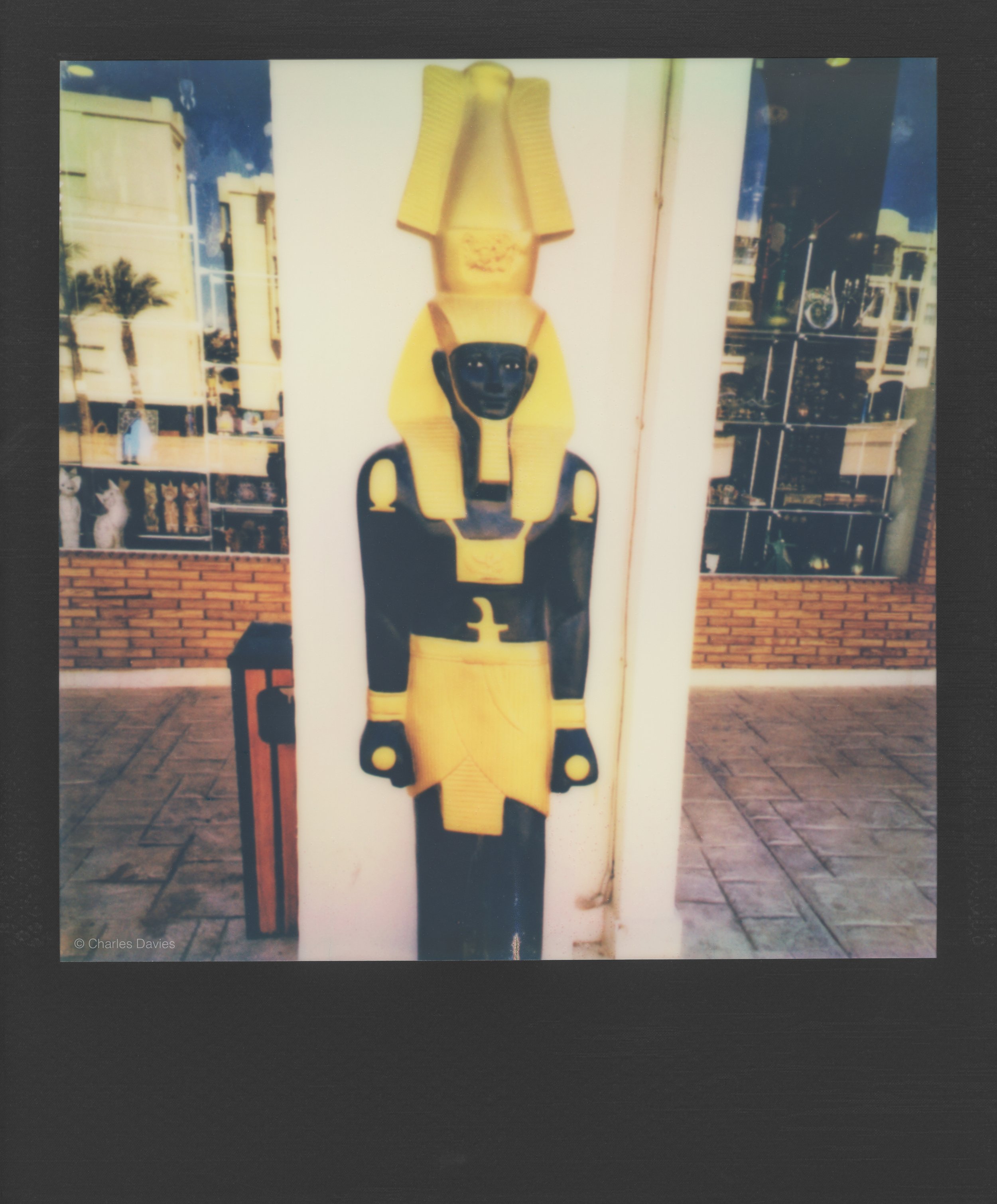 47 - 2023 - Polaroid Lab.jpg