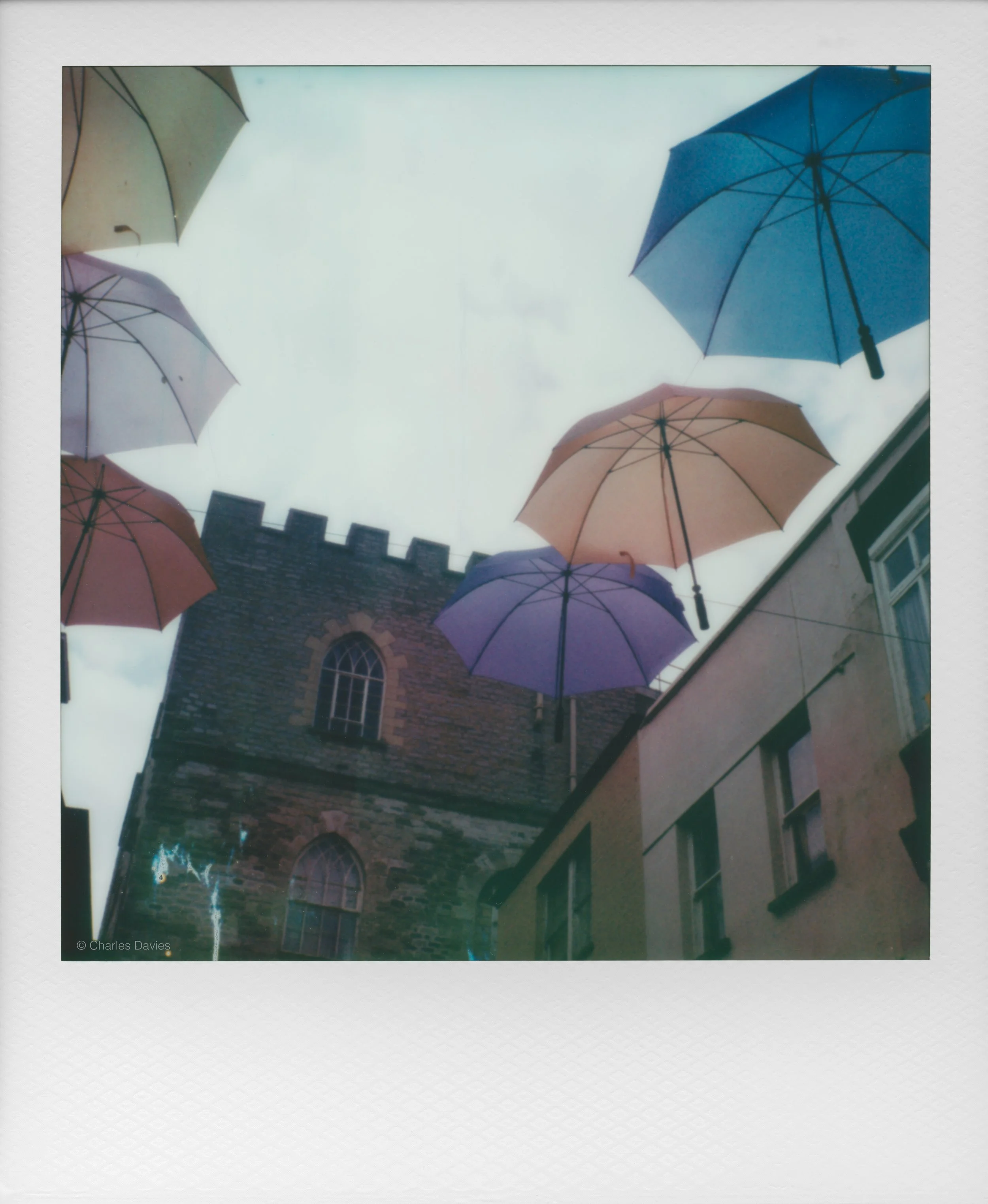 50 - 2025 - Polaroid SX-70 Sonar.jpg