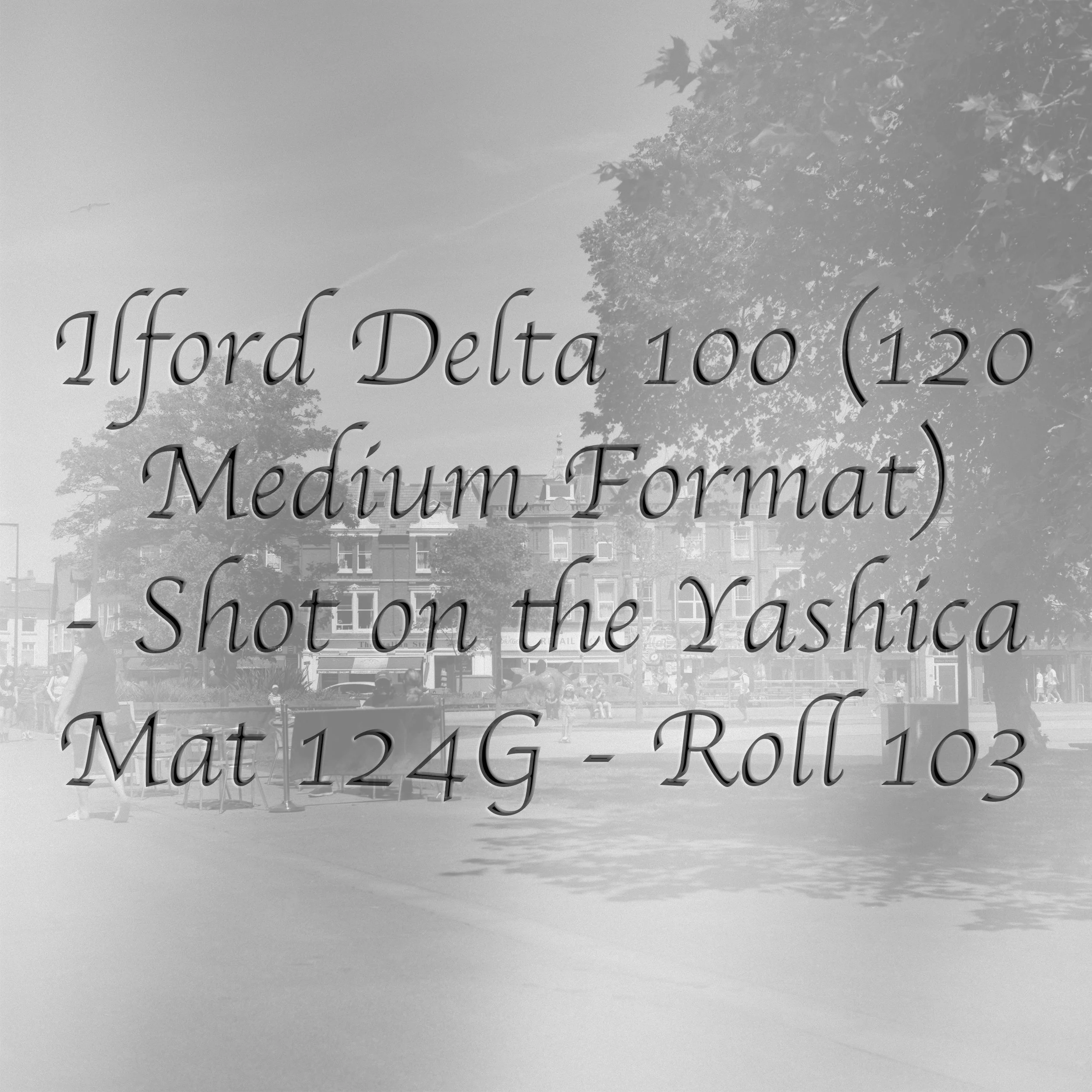 Ilford Delta 100 (Medium Format) - Roll 103