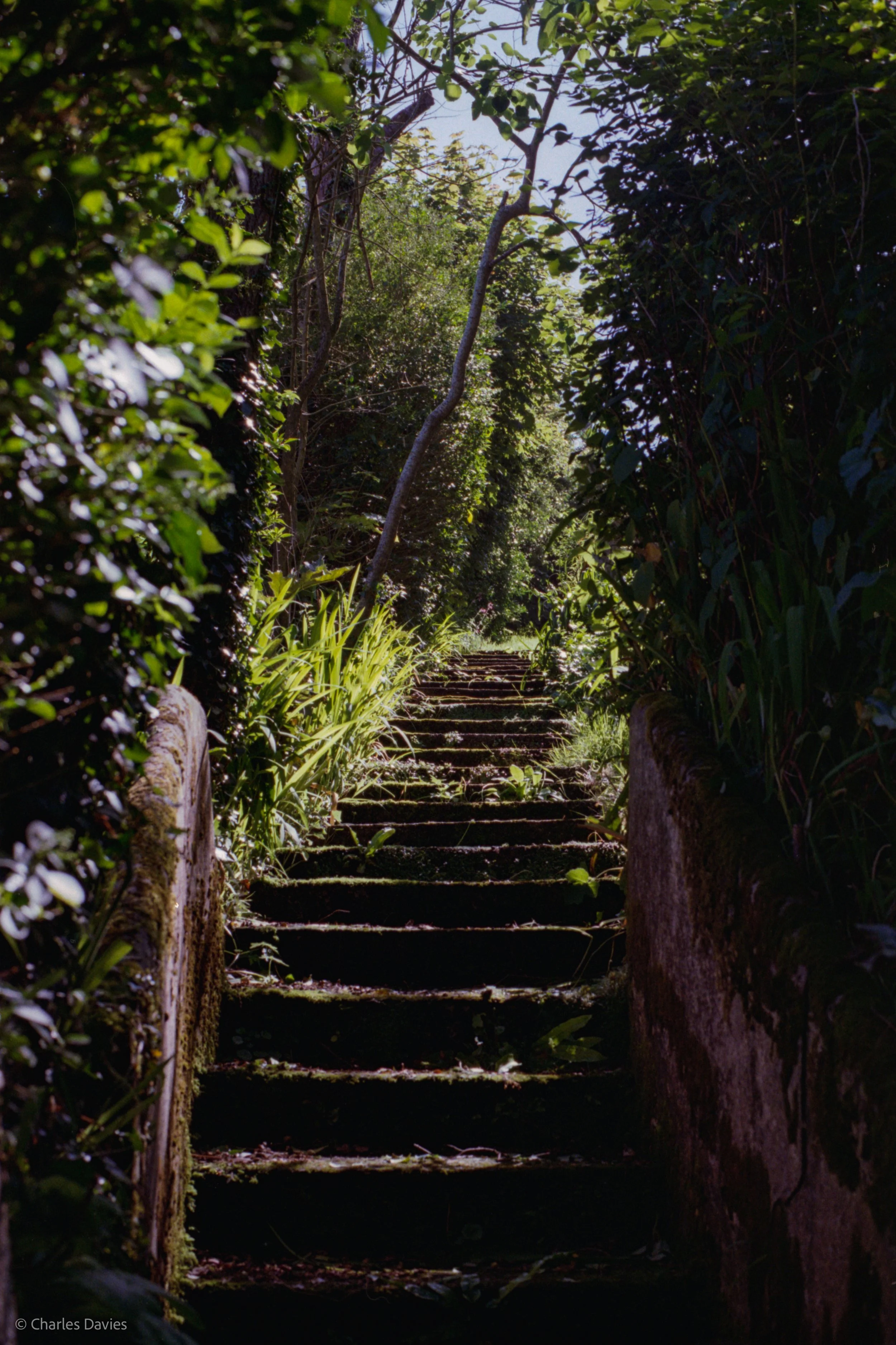 Roll 36 - 2025 - Europe - United Kingdom - Cadgwith - Kodak Pro Image 100 - Contax RTS - 35mm - Film - Colour