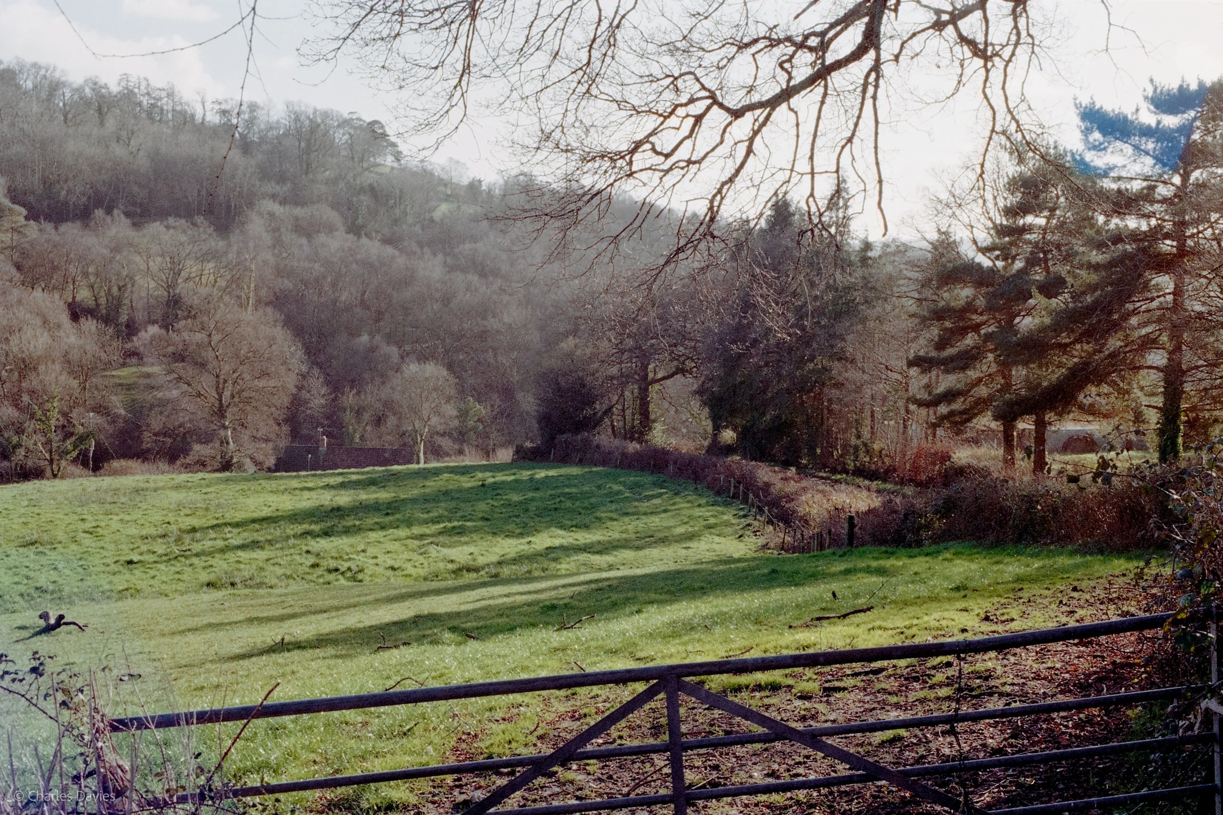 Roll 20 - 2025 - Europe - United Kingdom - Shute - Kodak ColorPlus 200 - Contax RTS - 35mm - Film - Colour 