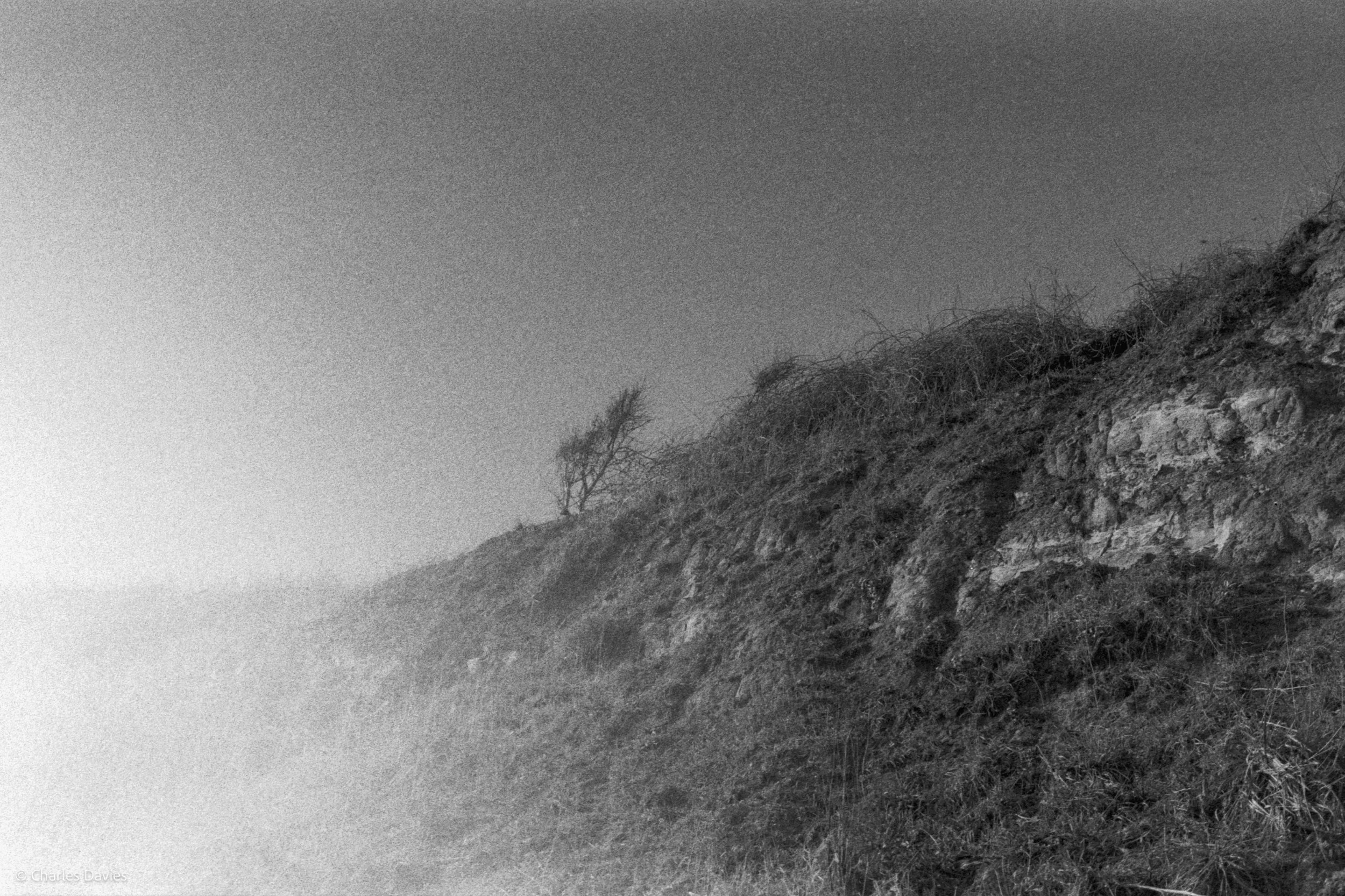 Roll 25 - 2025 - Europe - United Kingdom - Seaton - Kentmere Pan 400 - Contax RTS - 35mm - Film - B&W 