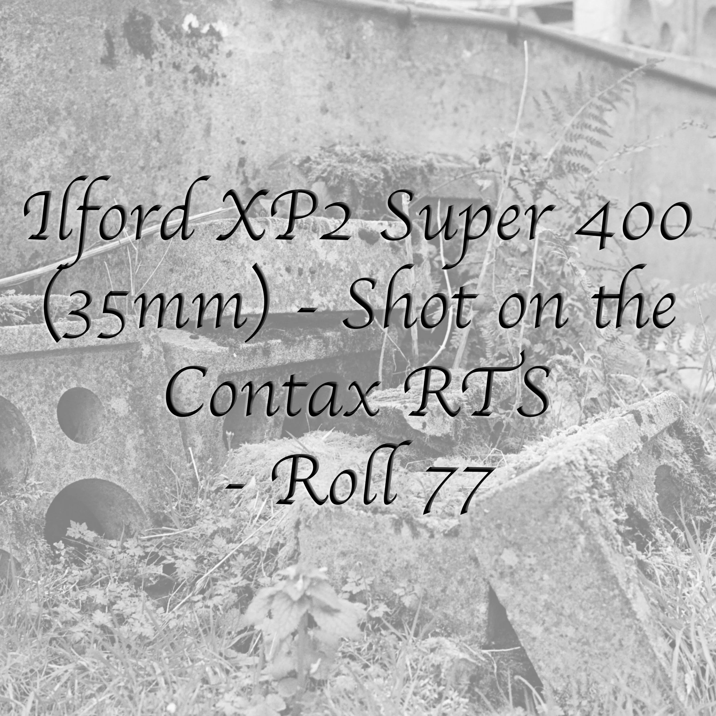 Ilford XP2 Super 400 (35mm) - Roll 77