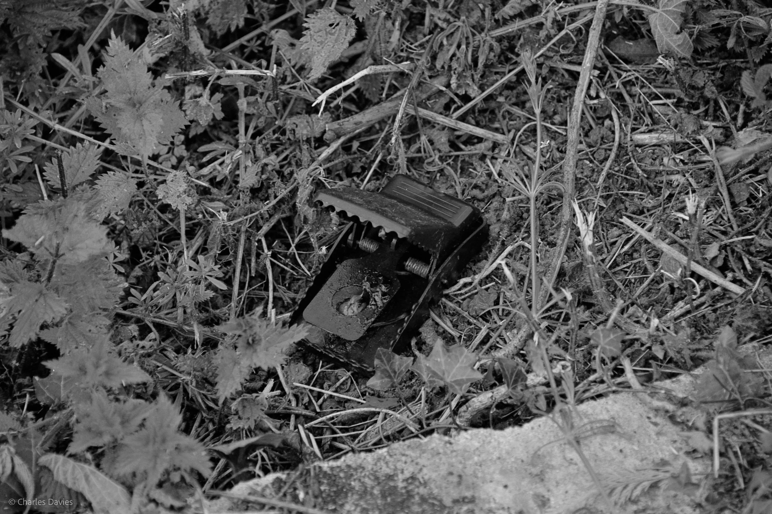 Shot 24 - Shutter Priority - Shute 