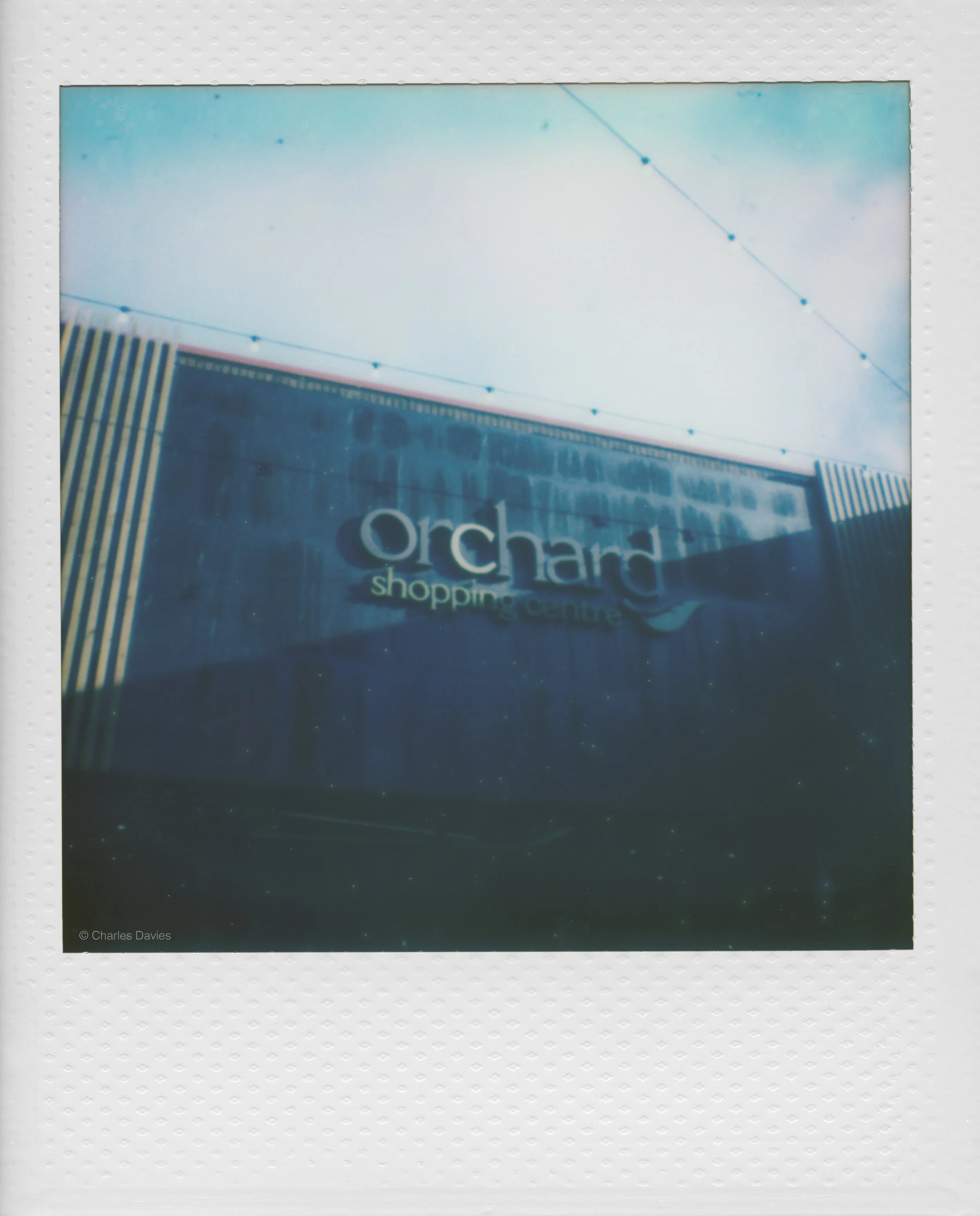 6 - 2025 - Polaroid Go.jpg