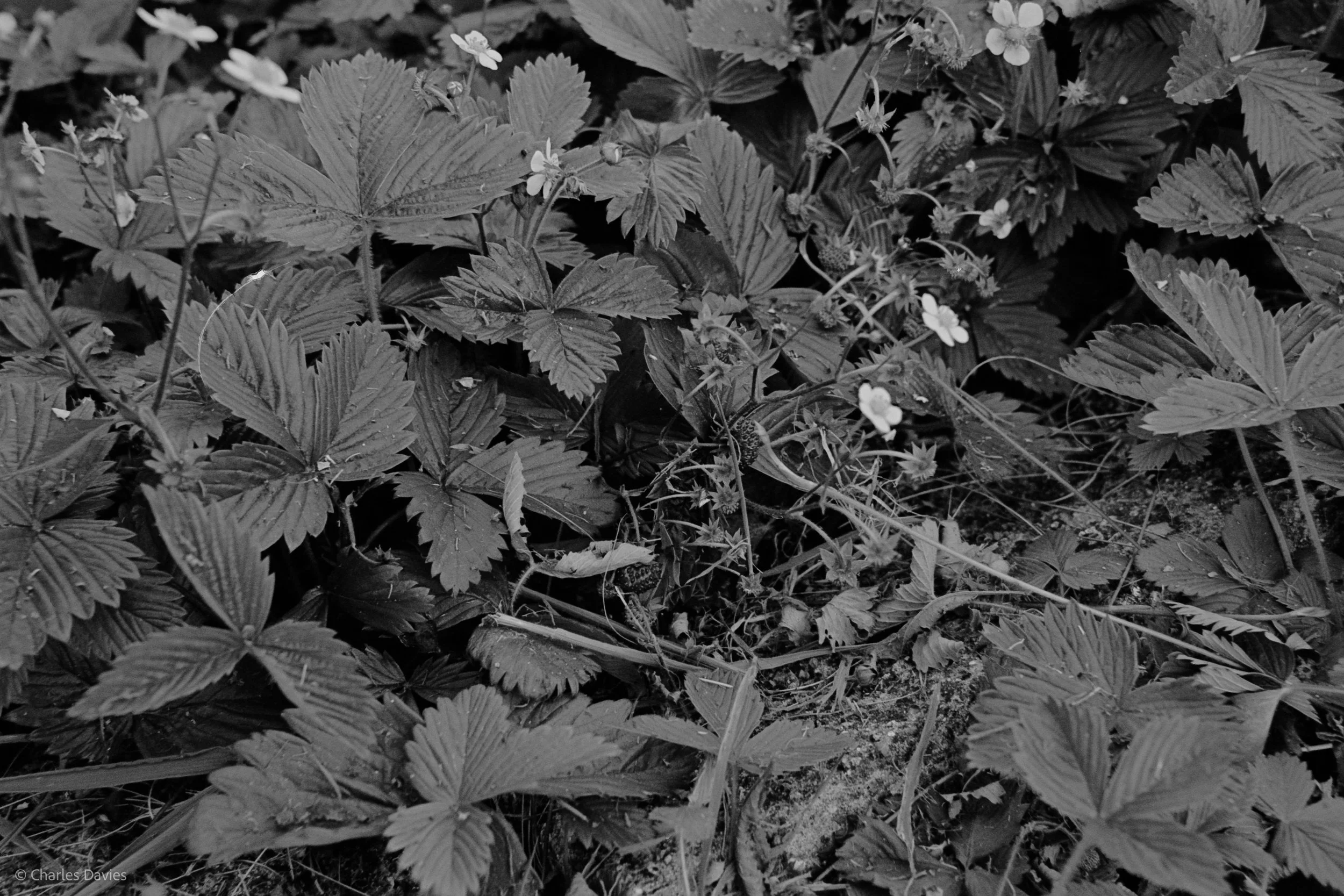 Shot 18 - Shutter Priority - Shute 