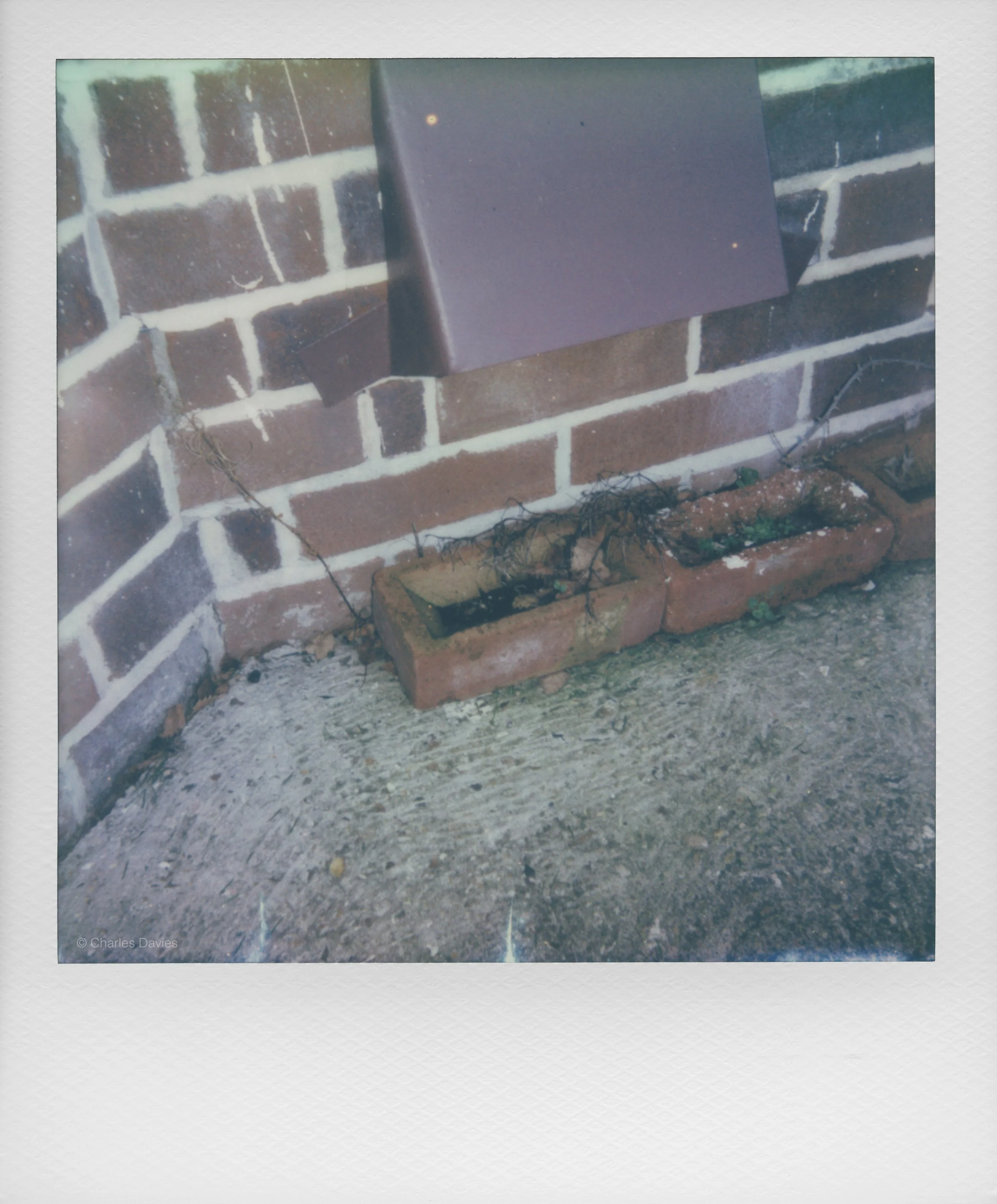 5 - 2023 - Polaroid Now.jpg
