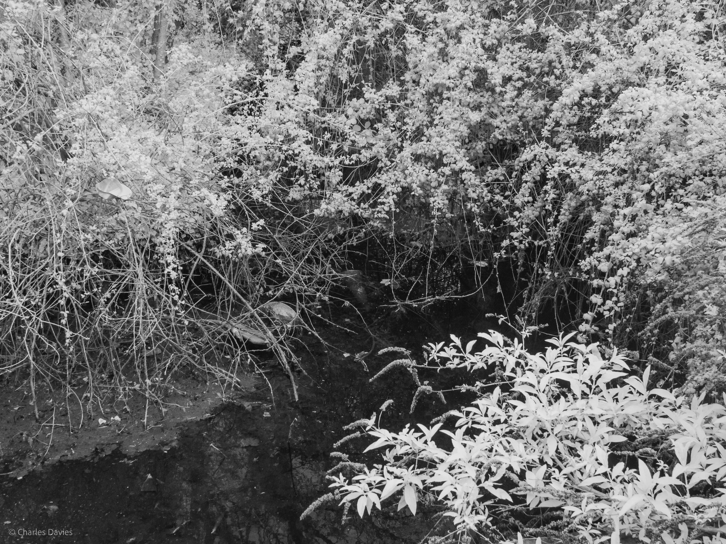 Manual - ISO 400 + F/8 + 1/160th - Exeter