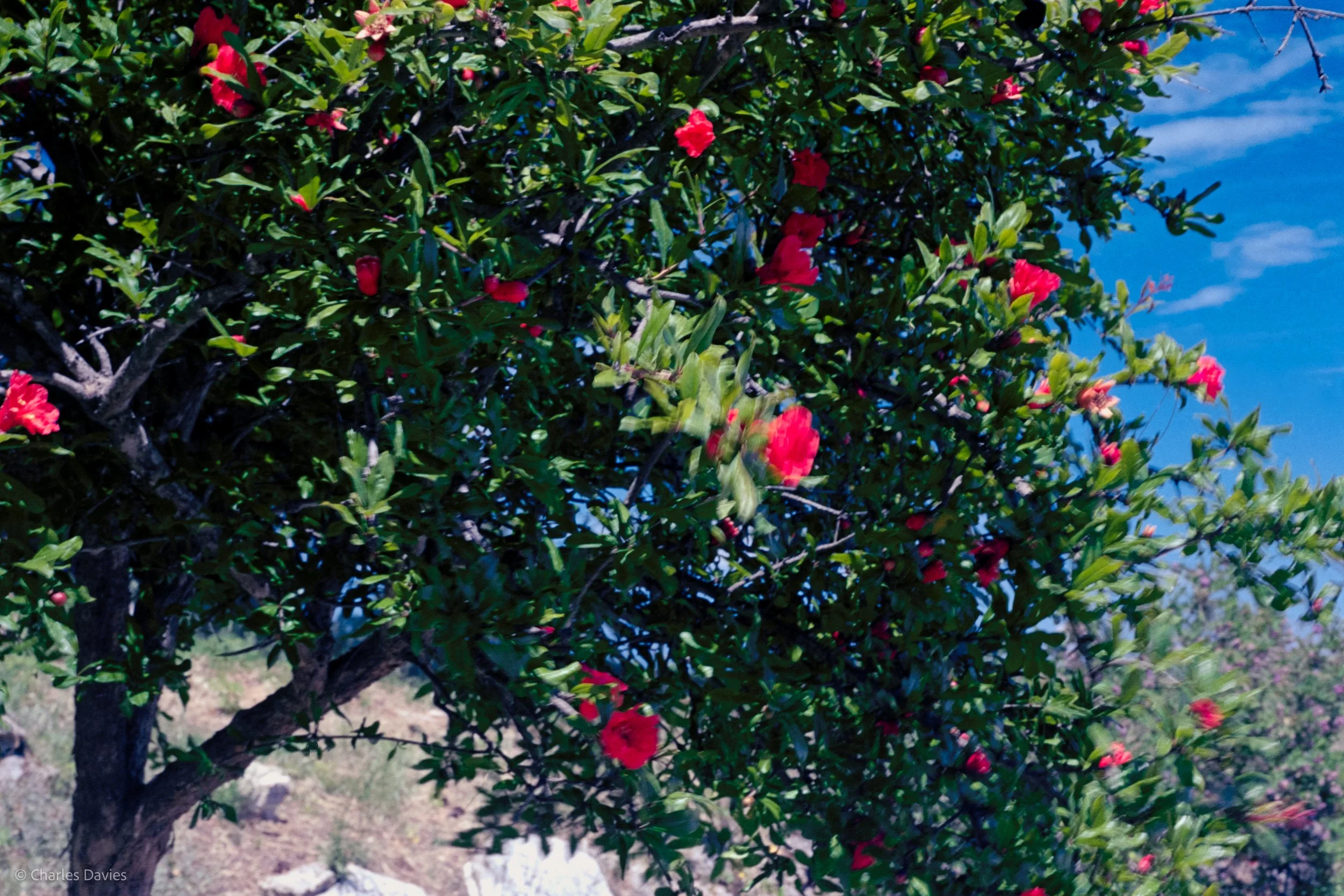 Image 6 - Aperture priority 